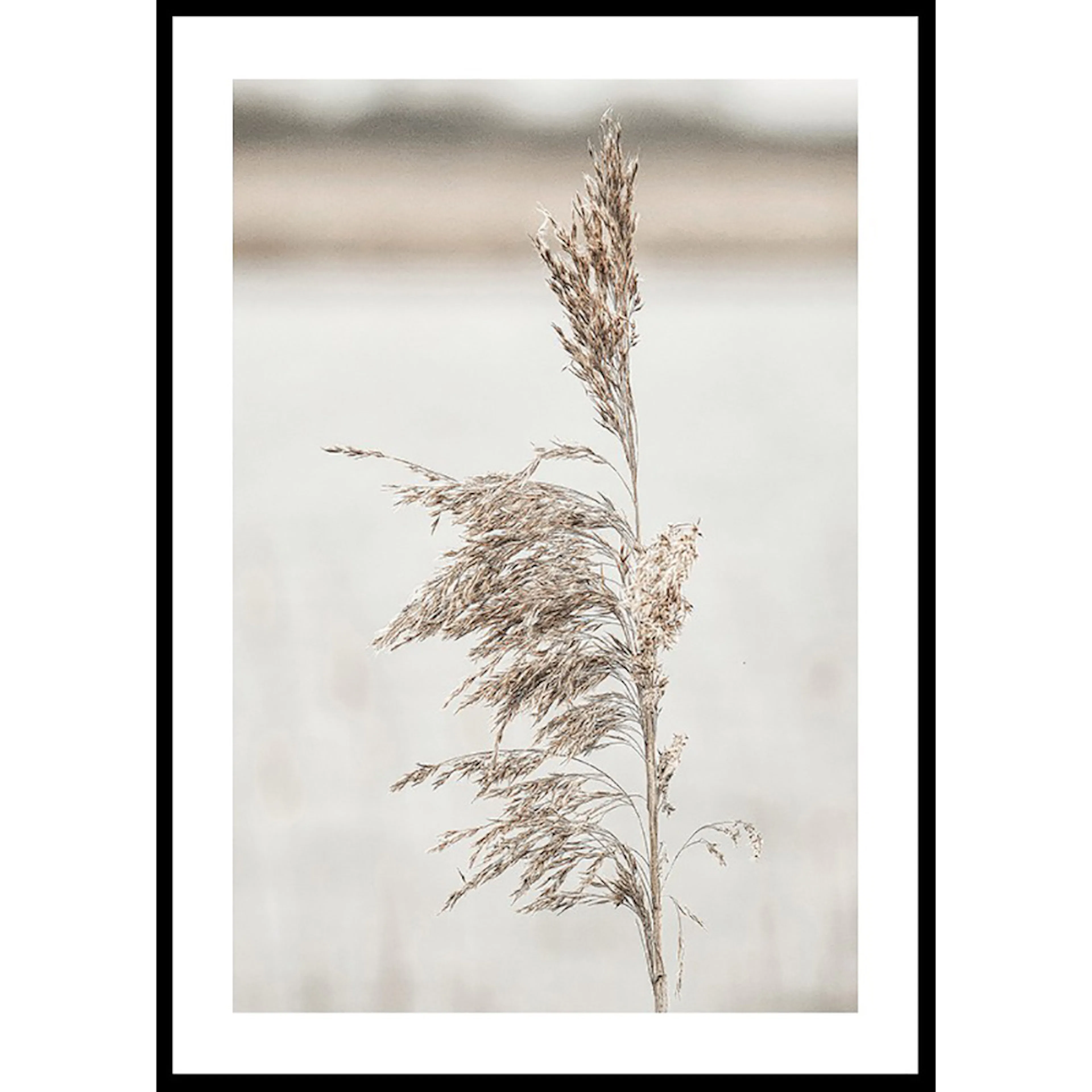 Poster Gallerix Boho Dried In Nature No7