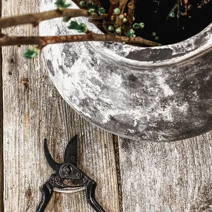 Sekatör by Benson Basic