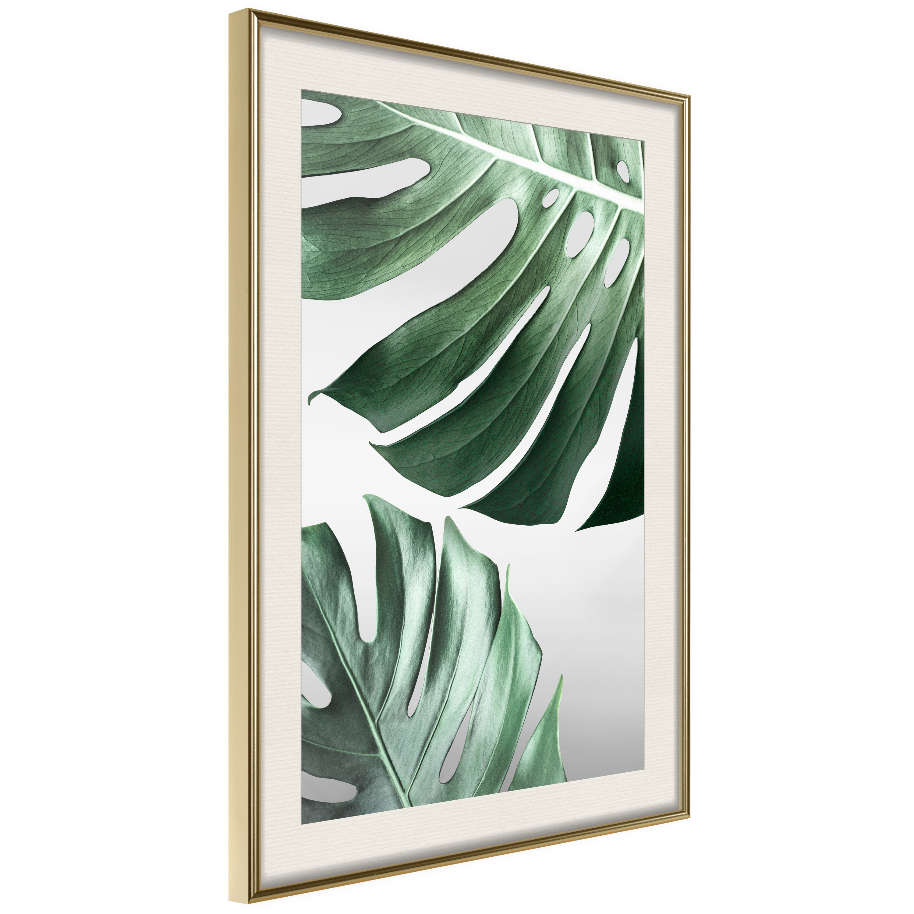 Affisch - Monstera Leaves [Poster] 20x30 Guld ram med passepartout, 20x30 cm