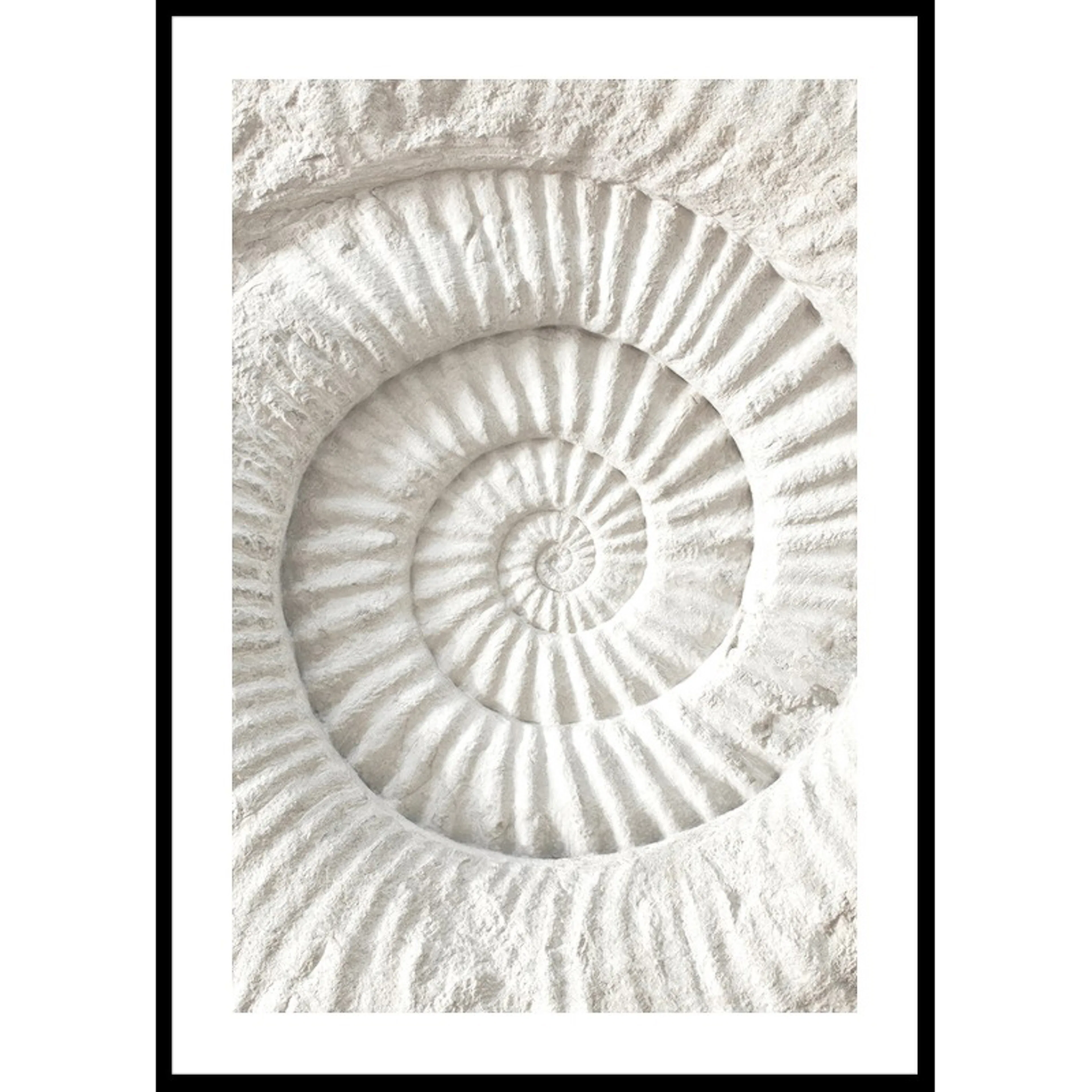 Poster Gallerix The Nautilus Carving