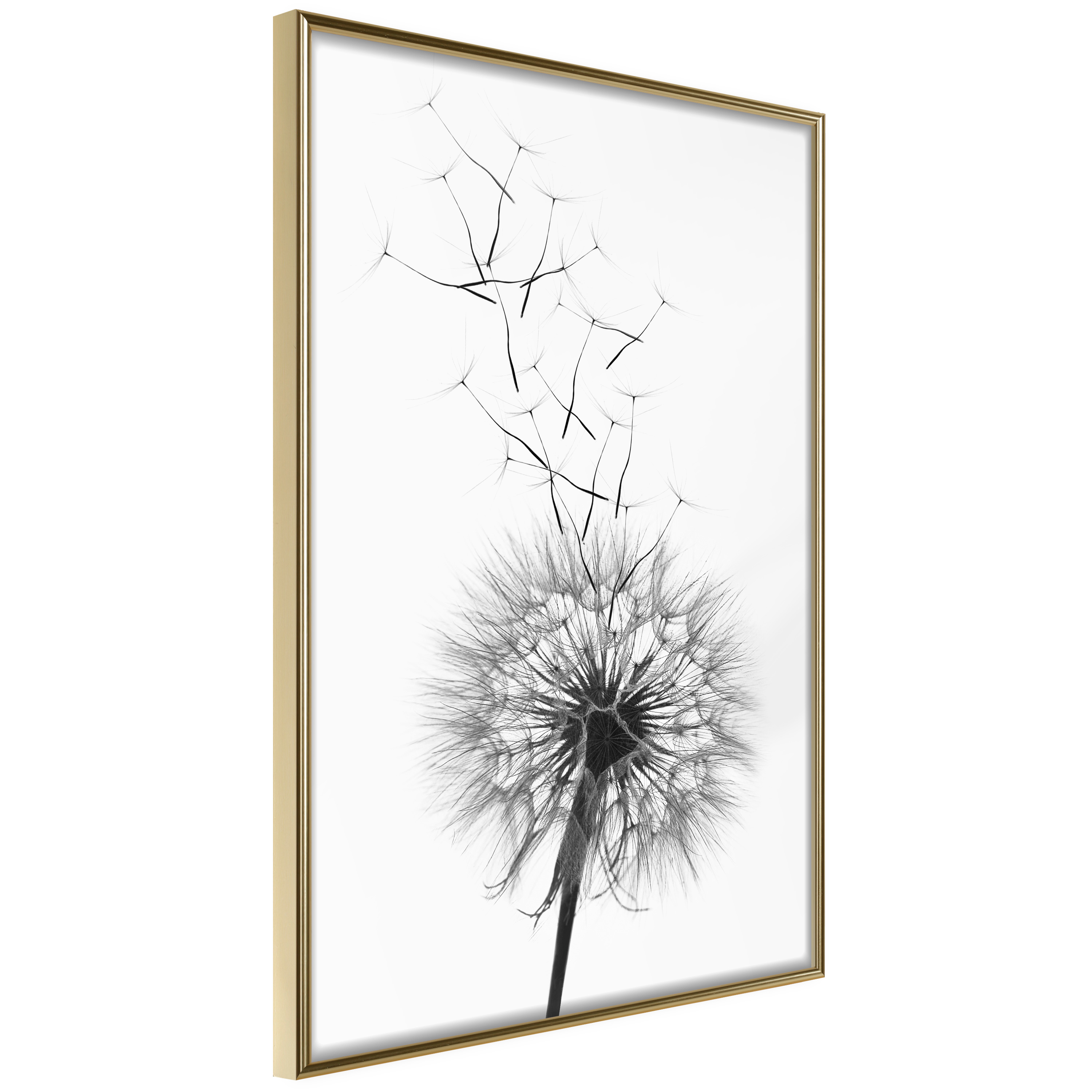 Affisch - Dandelion [Poster] 20x30 Guld ram, 20x30 cm