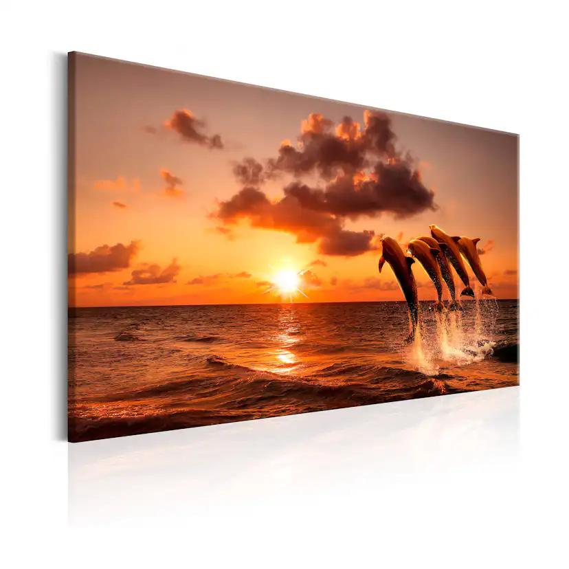 Tavla Arkiio The Dolphin's Dance