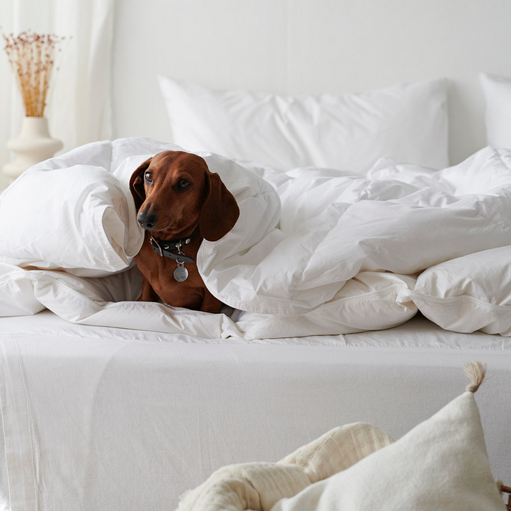 Hotelltäcke & Kudde Borganäs of Sweden Enkelsäng