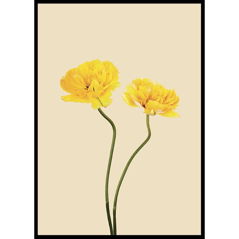Poster Gallerix Yellow Tulips