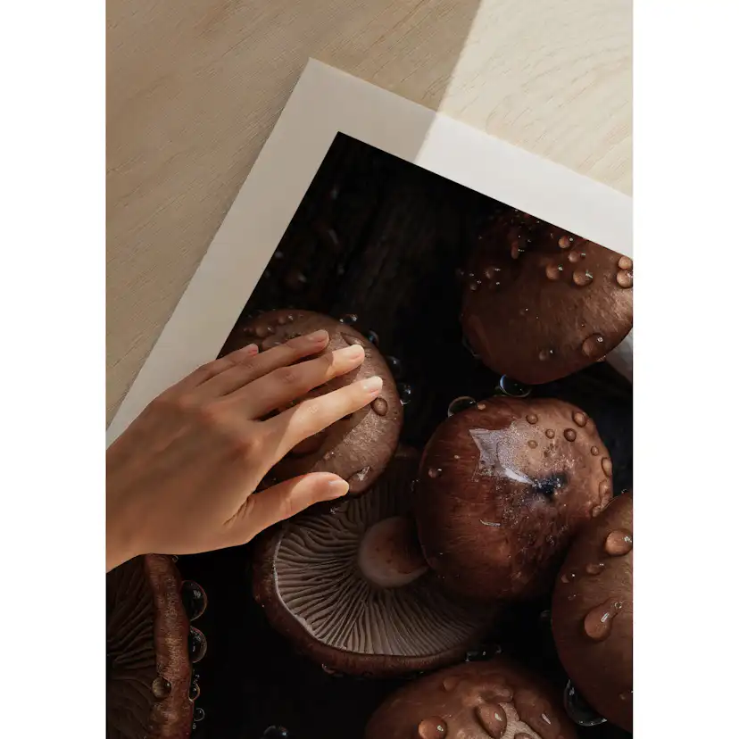 Poster Gallerix Mushrooms No2