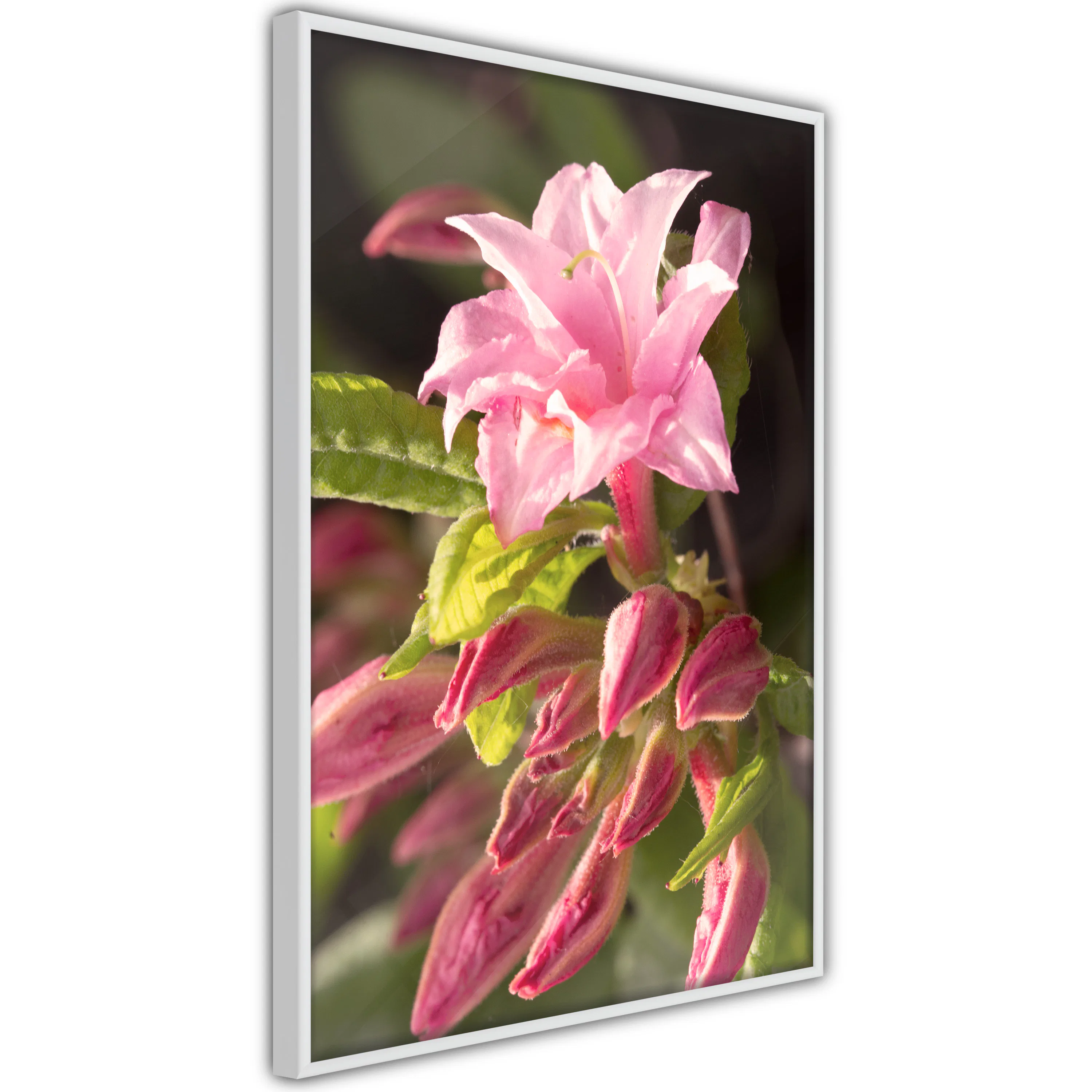 Poster Artgeist Affisch Natural Pink