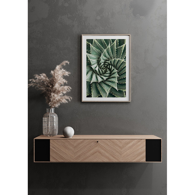 Poster Gallerix Agave Close Up No2
