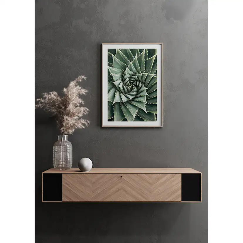 Poster Gallerix Agave Close Up No2