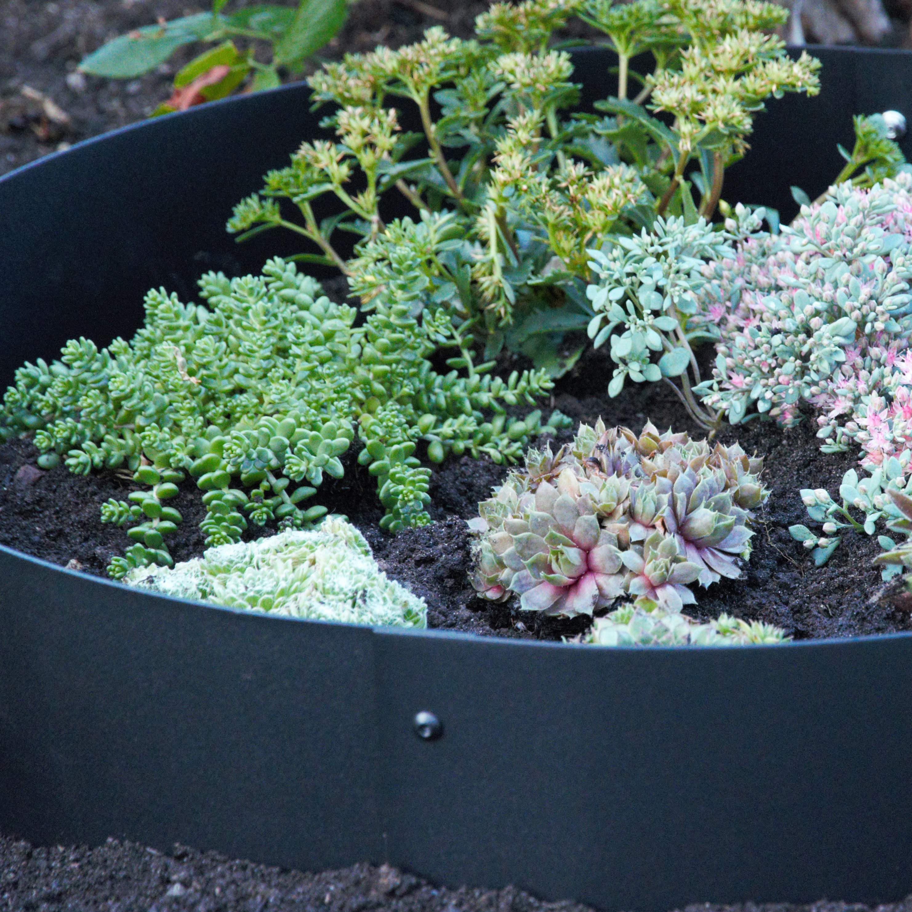 Planteringskant Flexigarden Svart 180 mm Cirkel