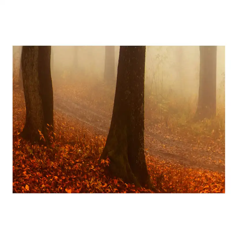 Tavla Arkiio Morning Fog