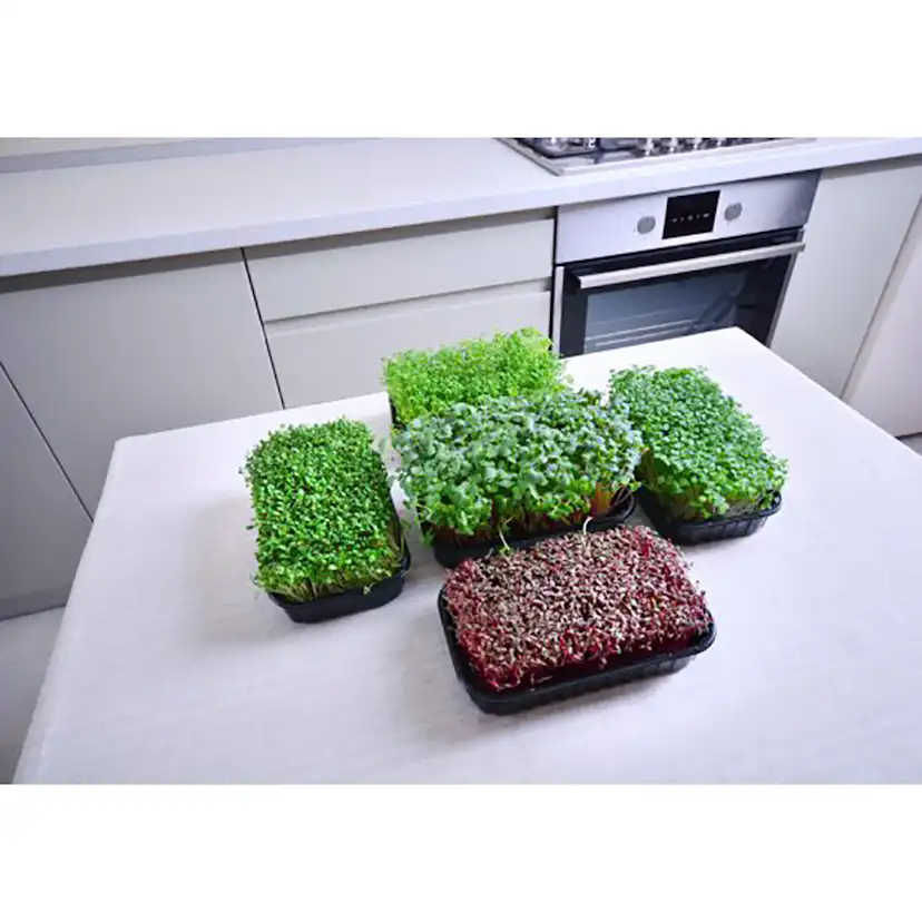 Odlingsmatta Turfquick Krasse