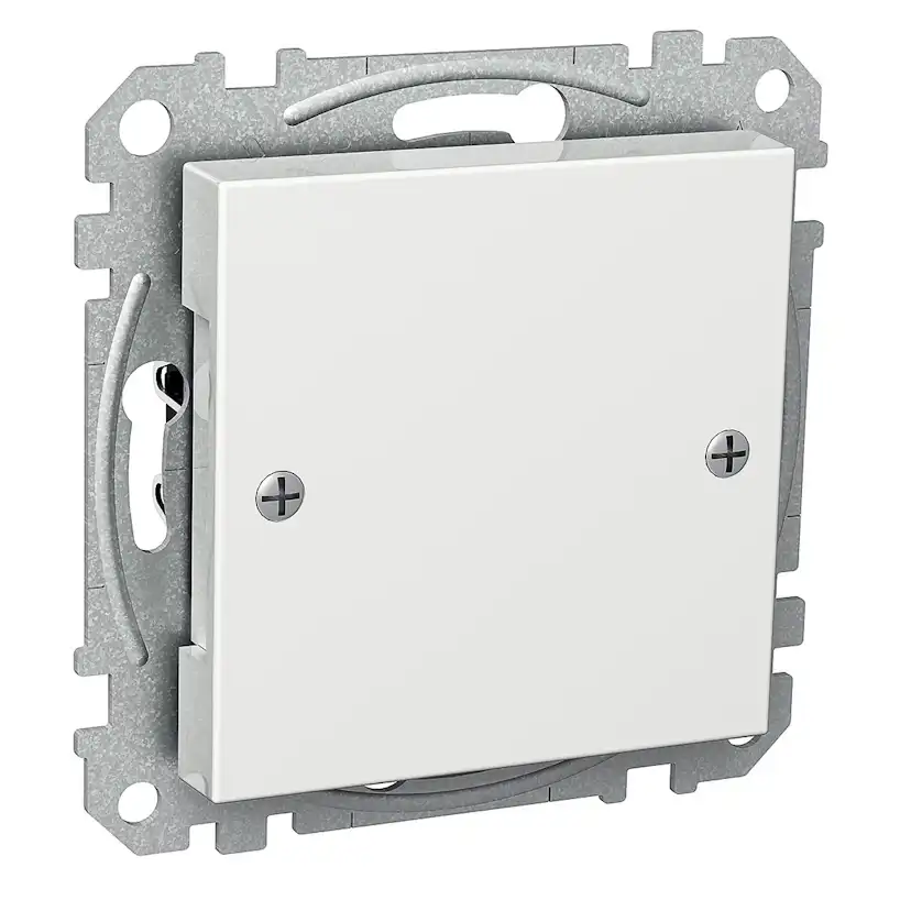 Centrumplatta Schneider Electric Exxact