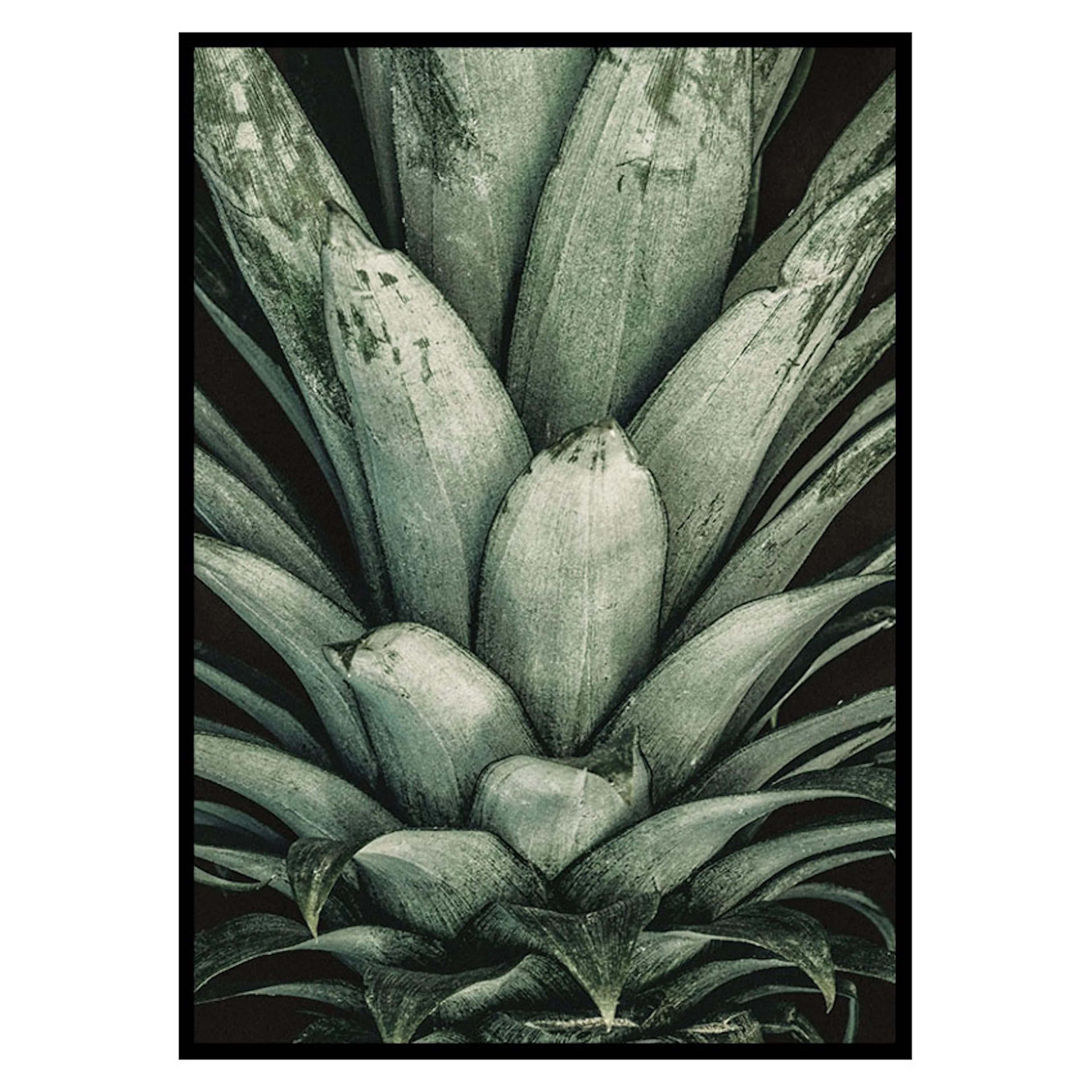 Poster Gallerix Pineapple Close