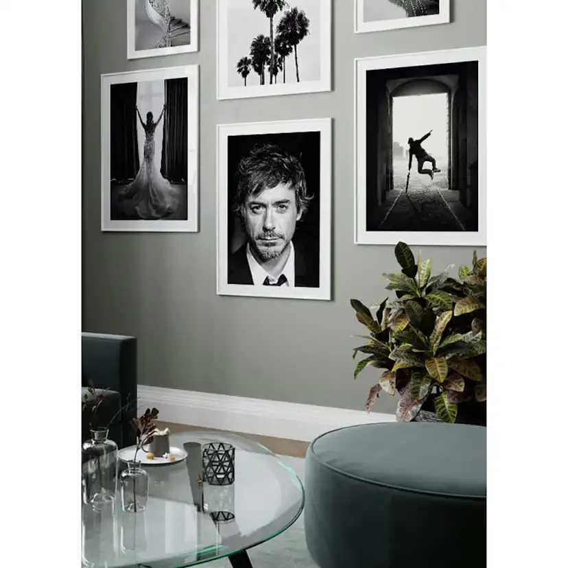 Poster Gallerix Robert Downey Jr