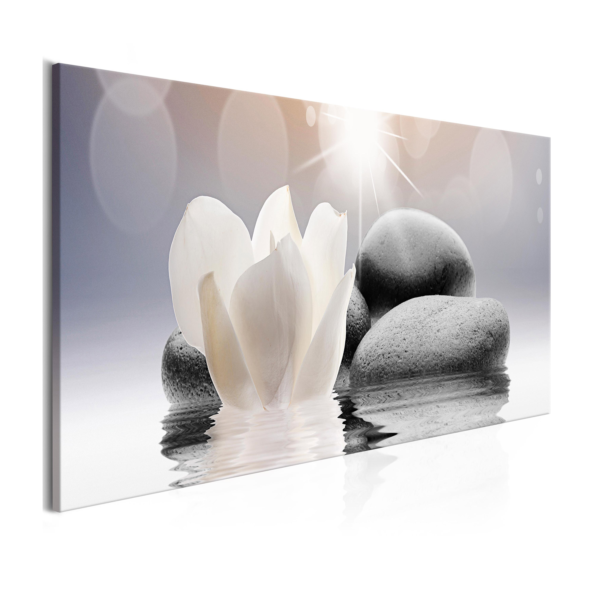 Tavla Arkiio Pebbles In Water