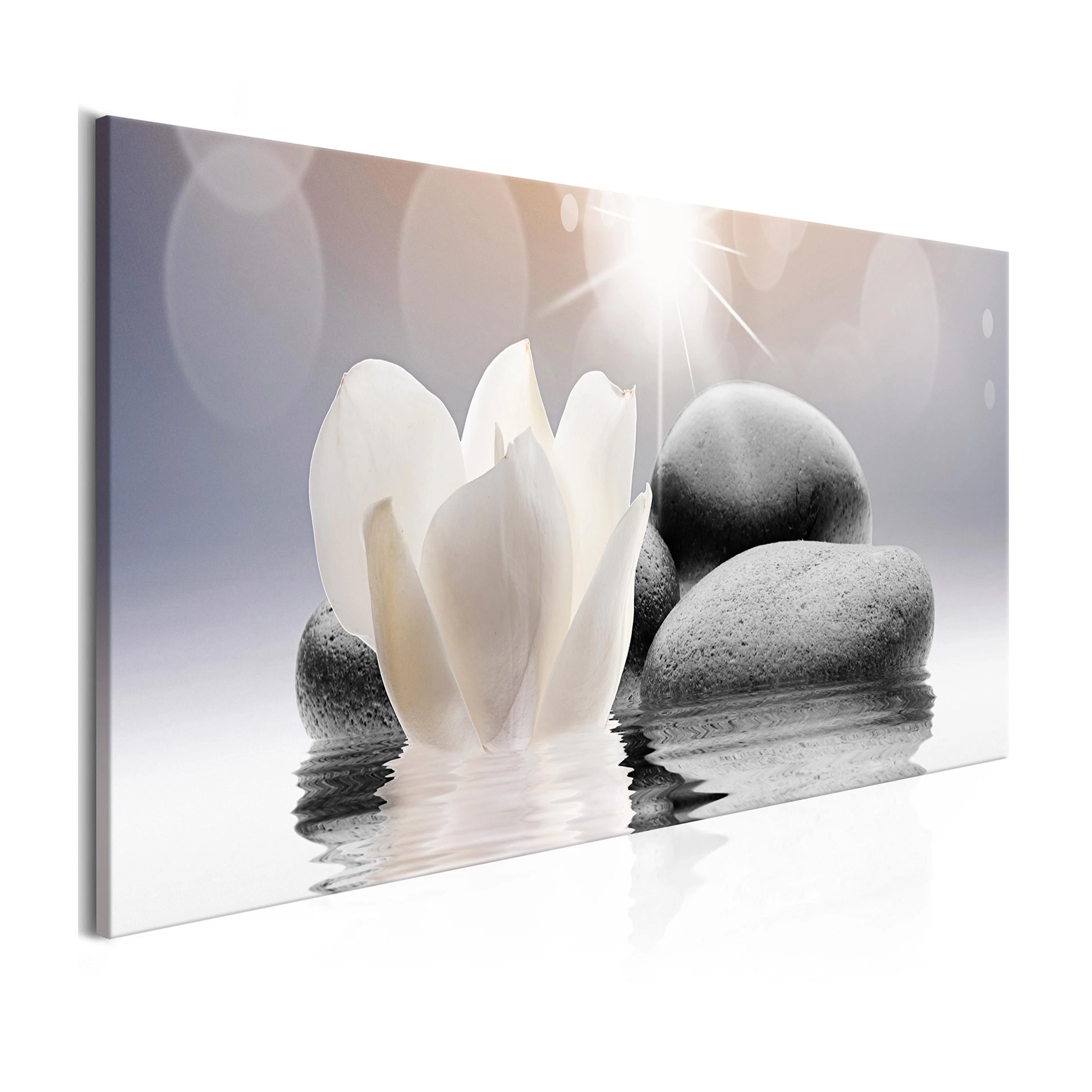 Tavla Arkiio Pebbles In Water