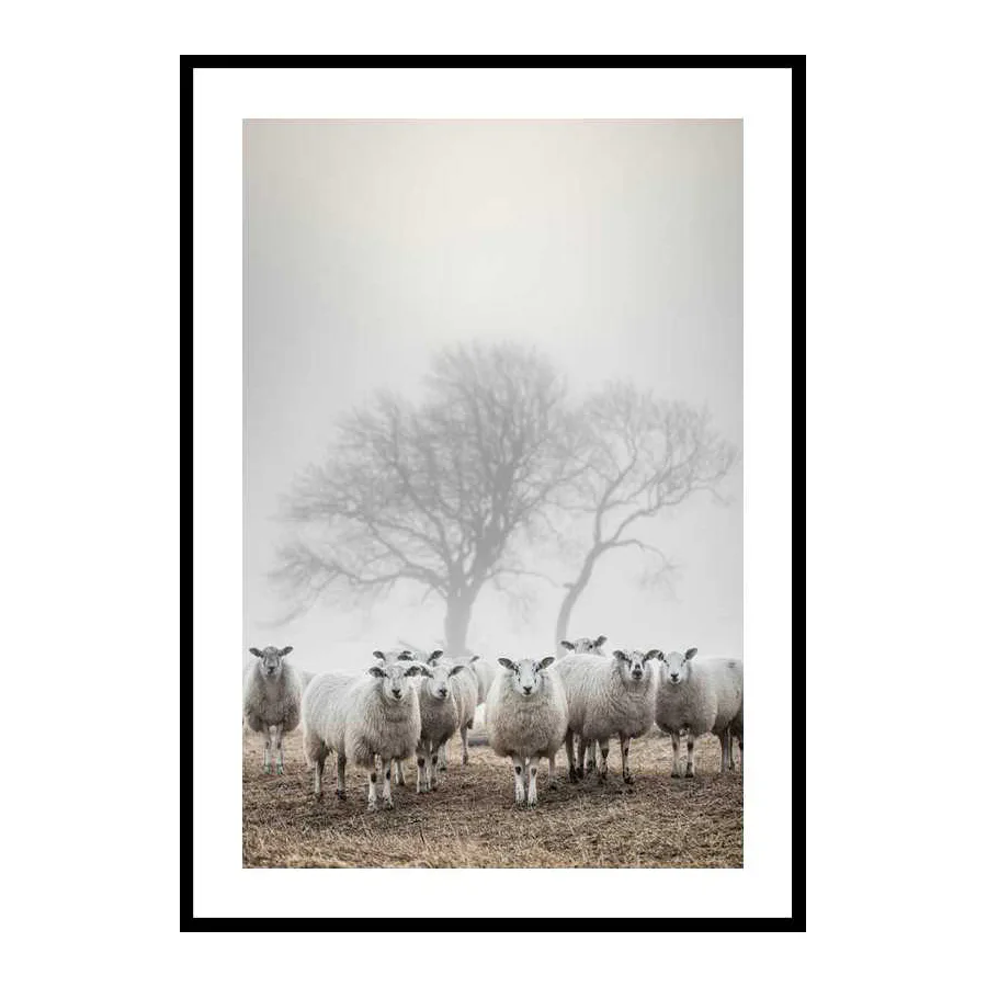 Poster Gallerix Sheep In Fog
