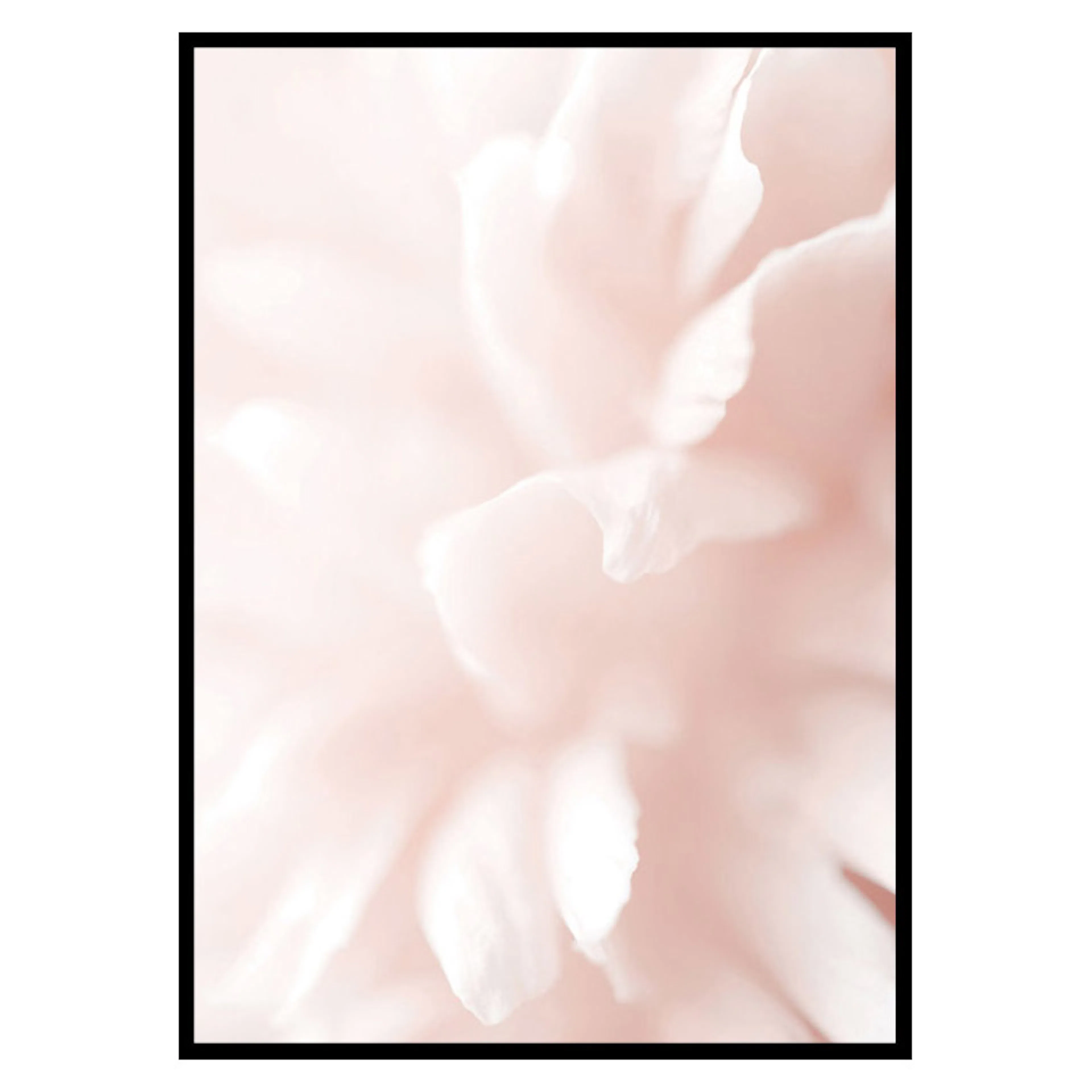 Poster Gallerix Tender Flowers No3