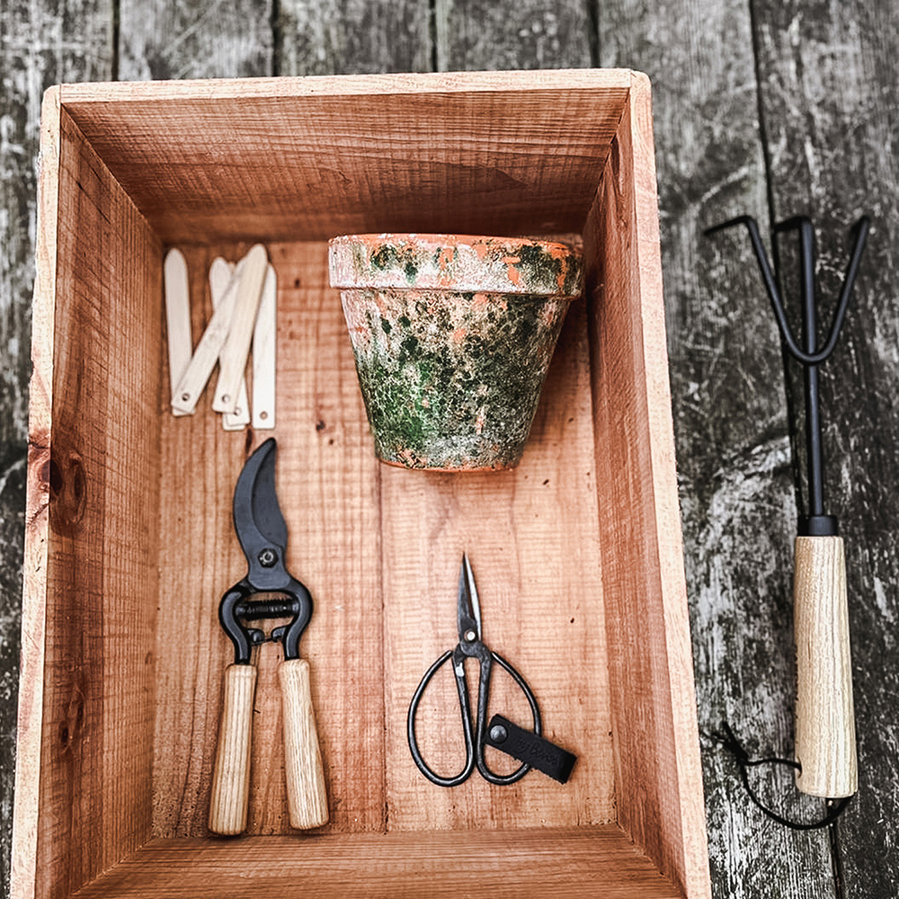 Sekatör by Benson Exclusive