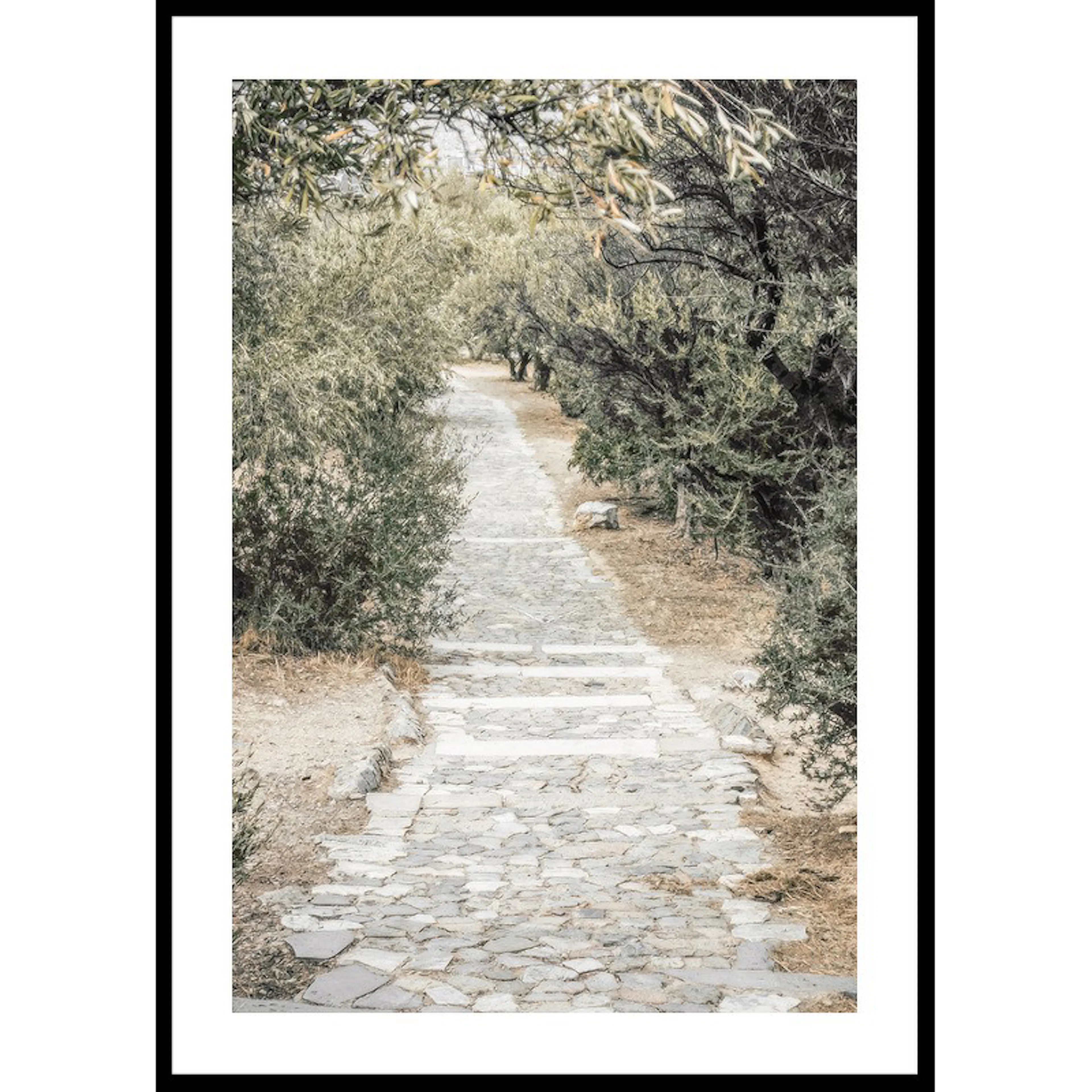 Olive Tree Garden 50x70 50x70 cm