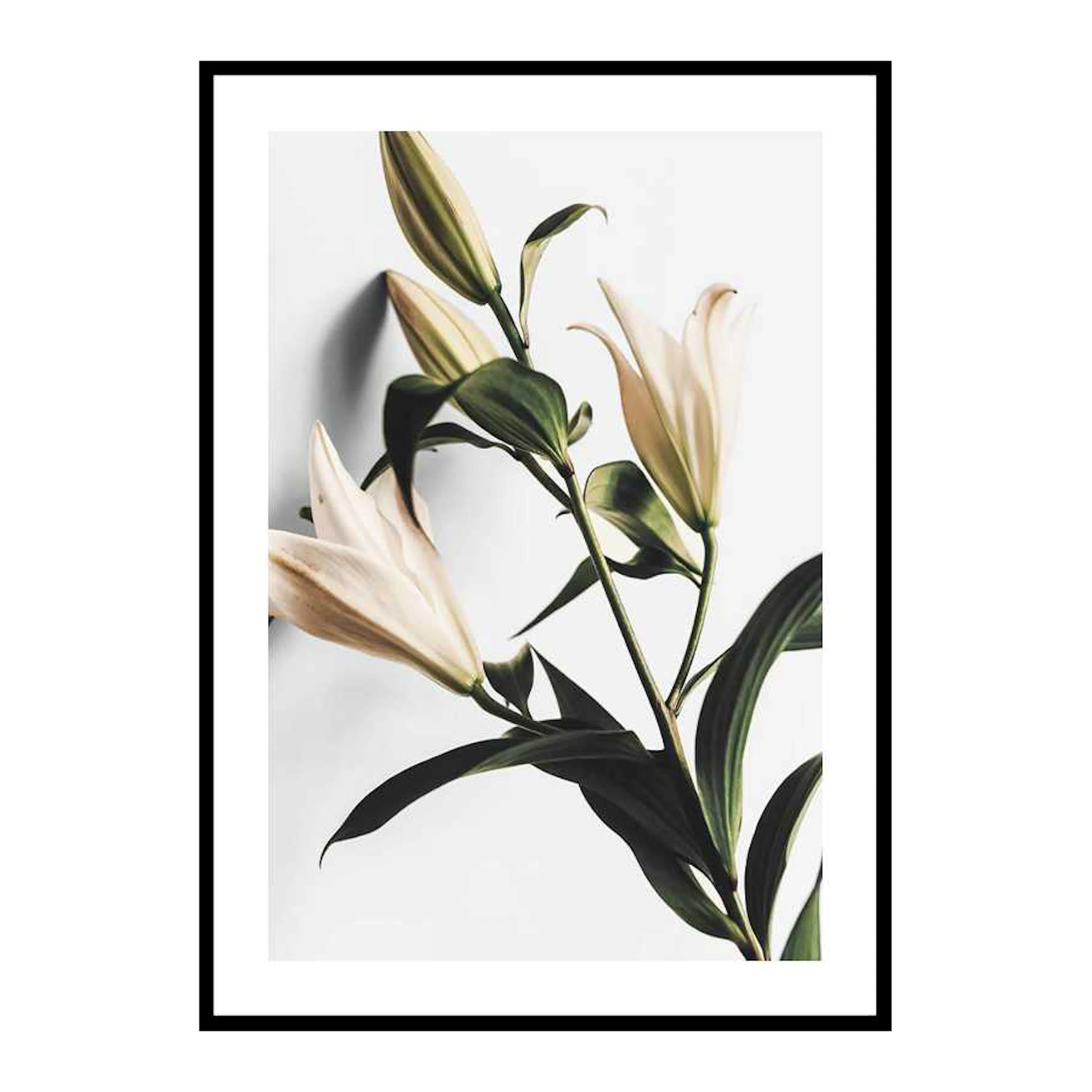 Lilies 30x40 cm