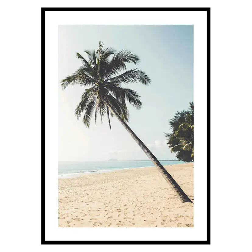Poster Gallerix Leaning Palm