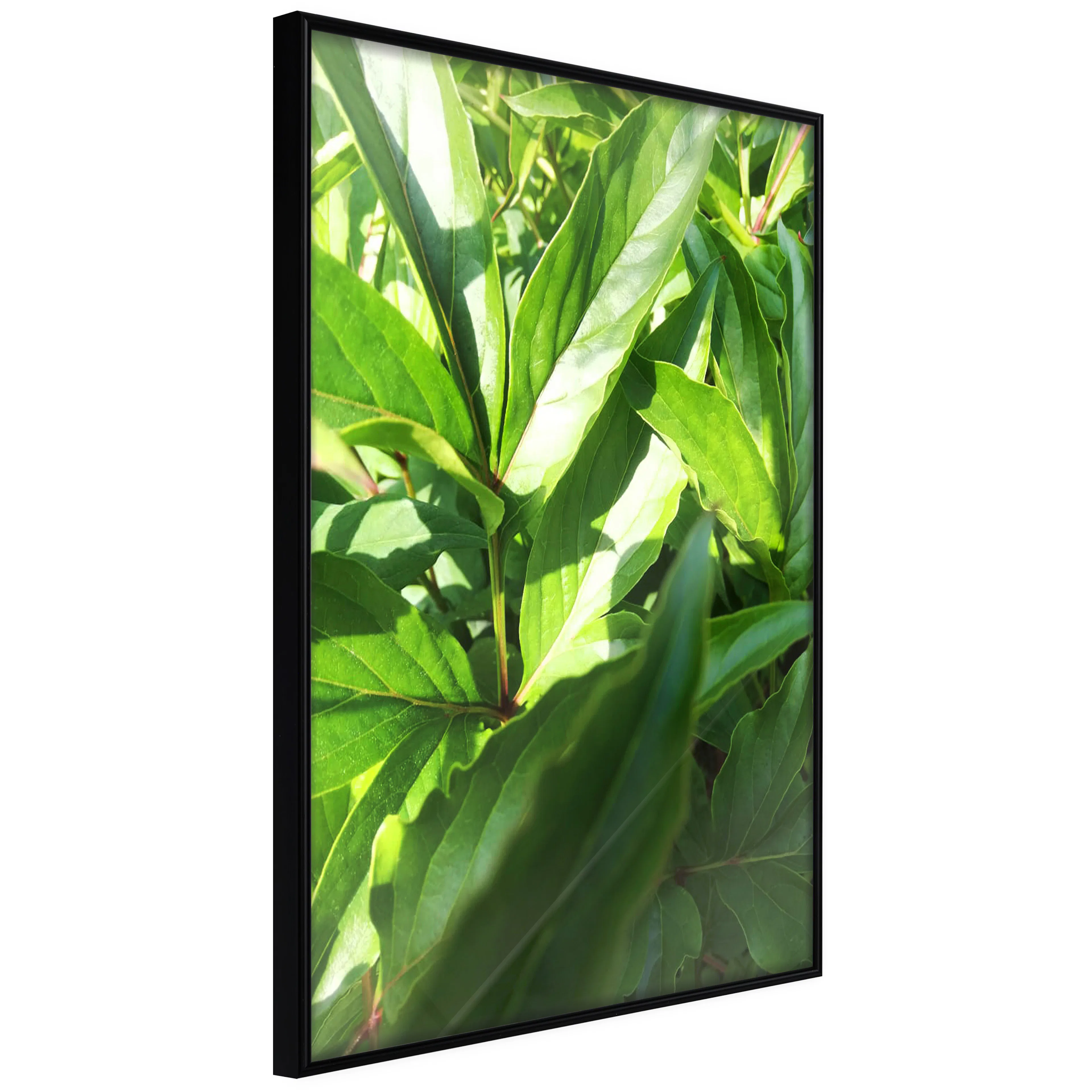 Affisch - Summer Afternoon [Poster] 40x60 Svart ram, 40x60 cm