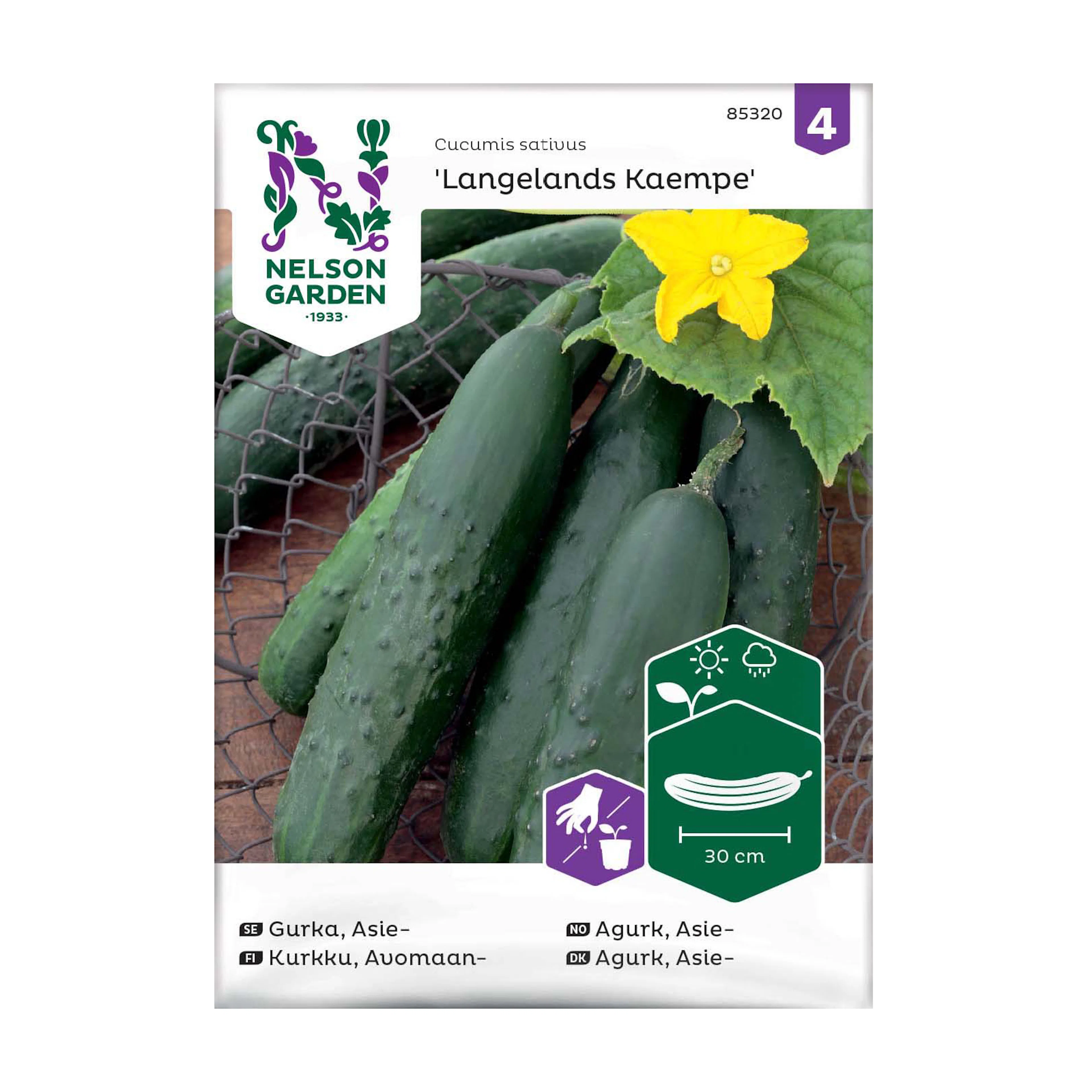 Frö Gurka Nelson Garden Asie Langelands Kaempe
