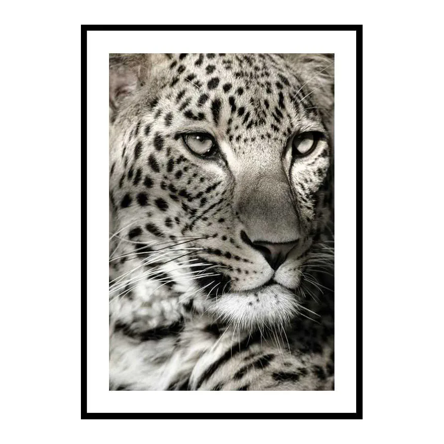 Poster Gallerix Leopard
