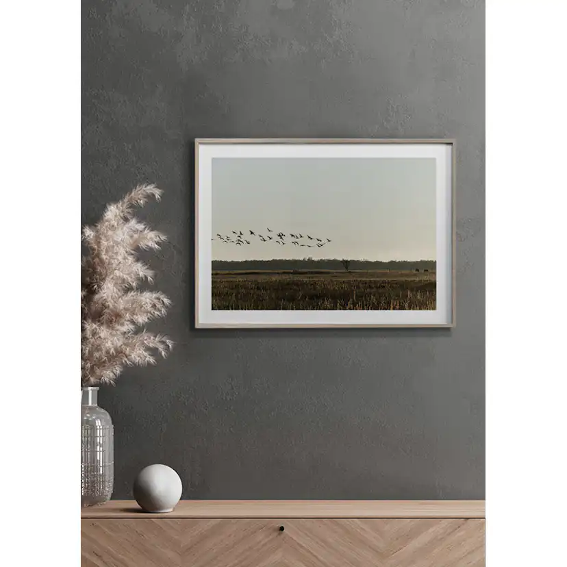 Poster Gallerix Birds Flyby