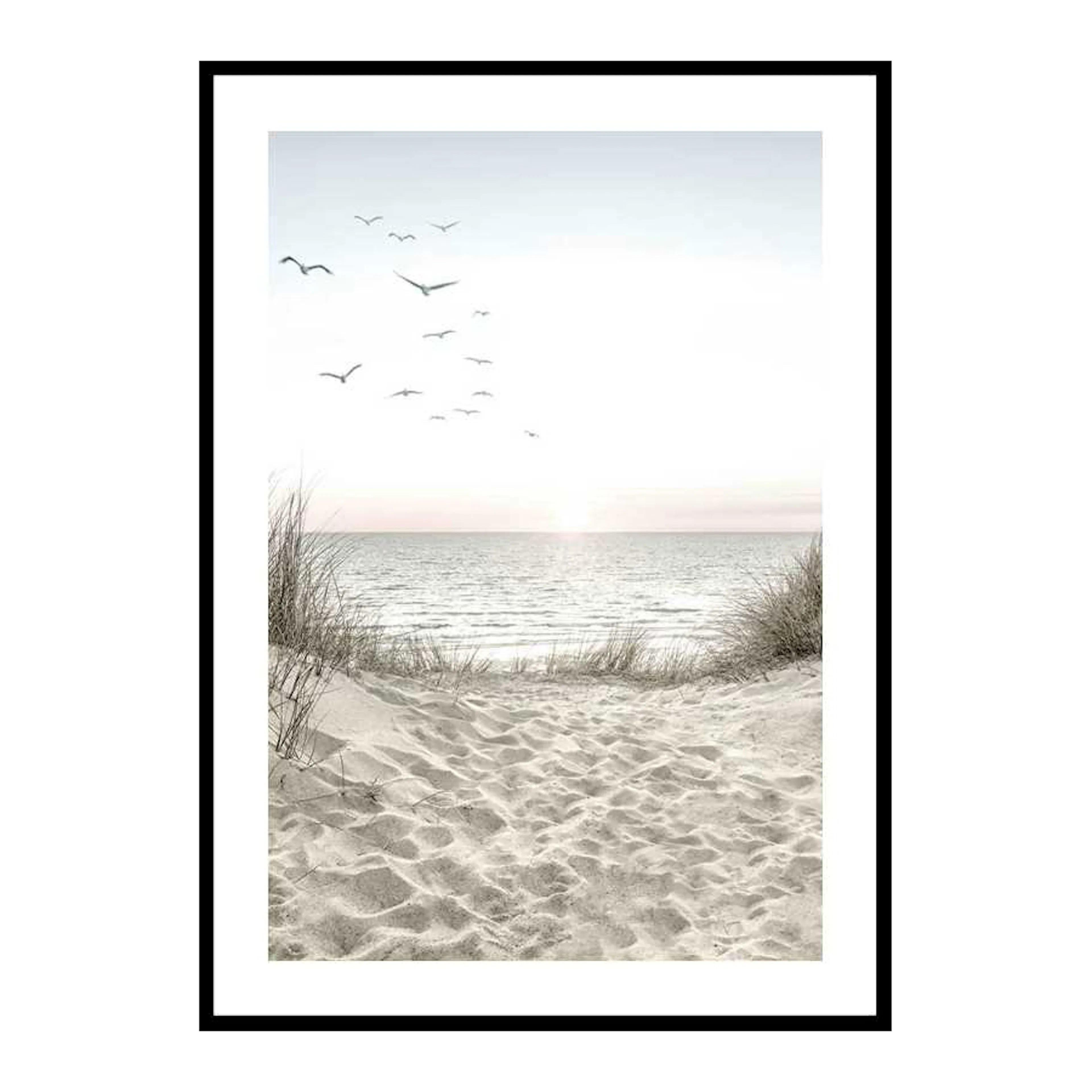 Seagulls Sandy Beach 30x40 cm