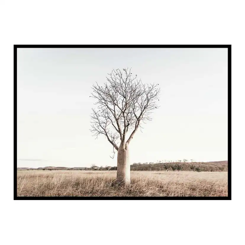 Poster Gallerix Boab Tree