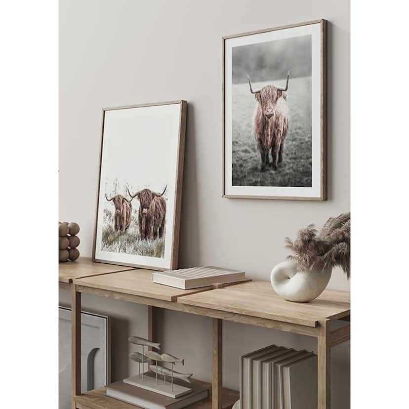 Poster Gallerix Scottish Highlanders No2