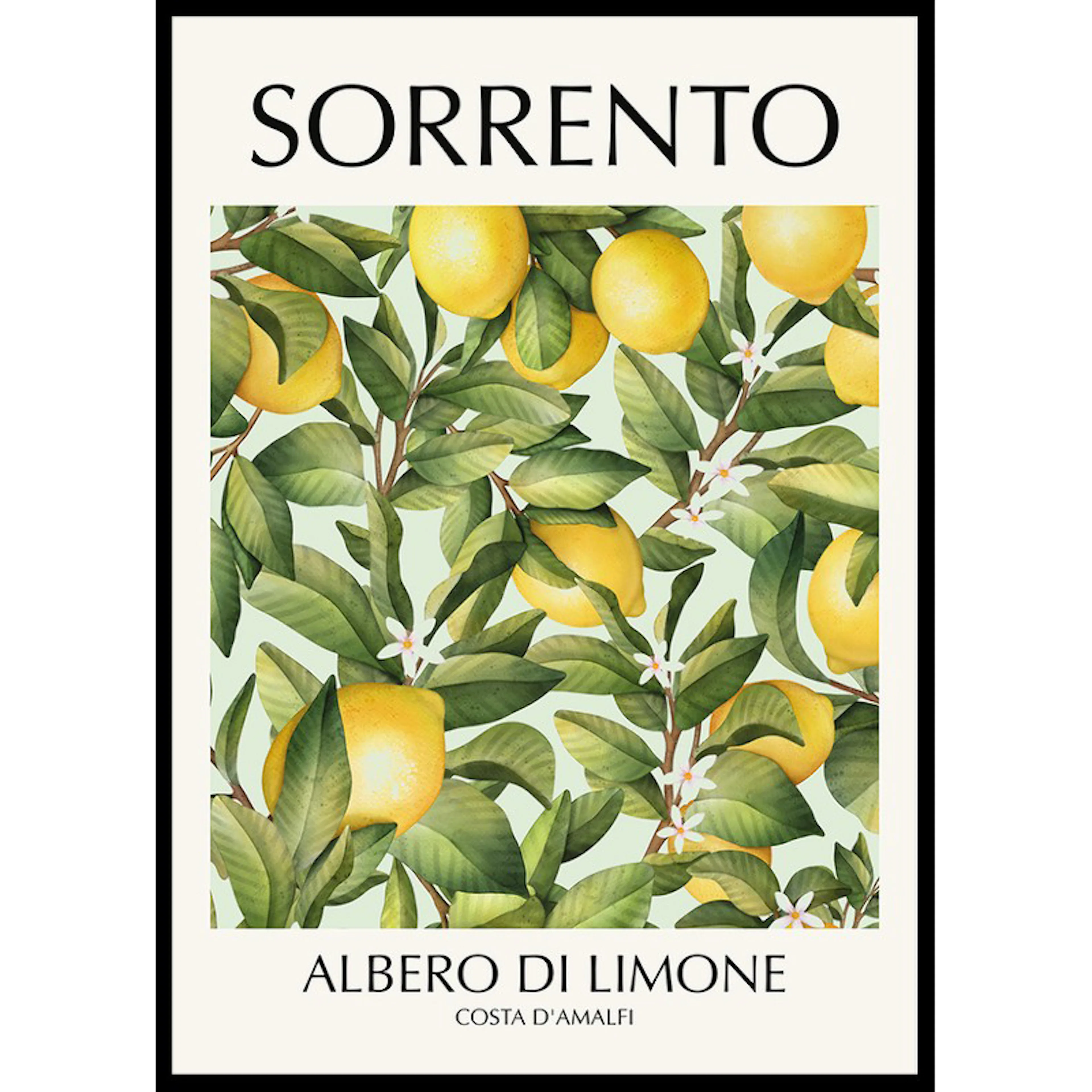 Poster Gallerix Sorrento Albero Di Limone