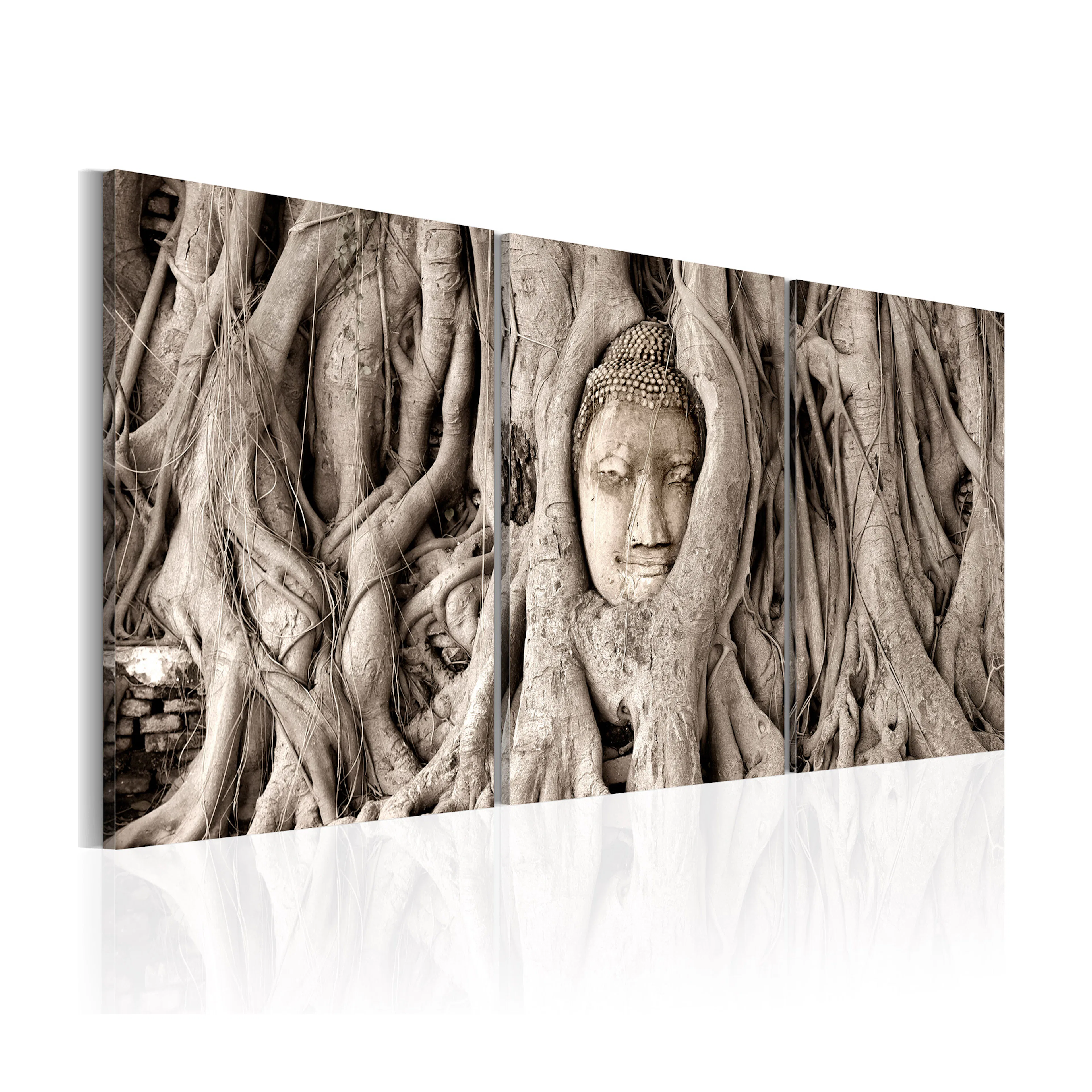 Tavla Arkiio Meditation's Tree