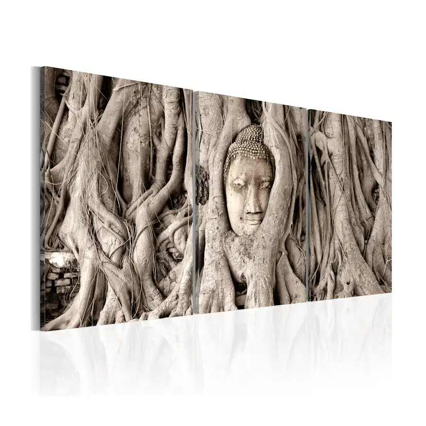 Tavla Arkiio Meditation's Tree