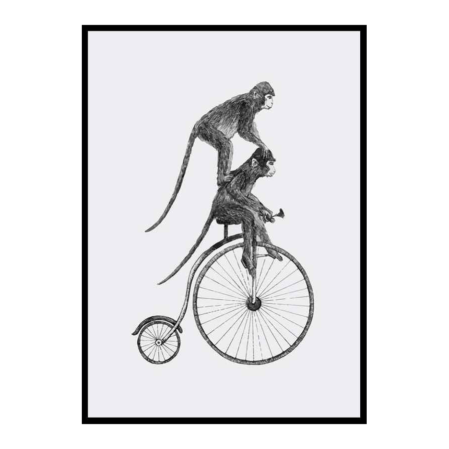Poster Gallerix Monkeys On A Bike