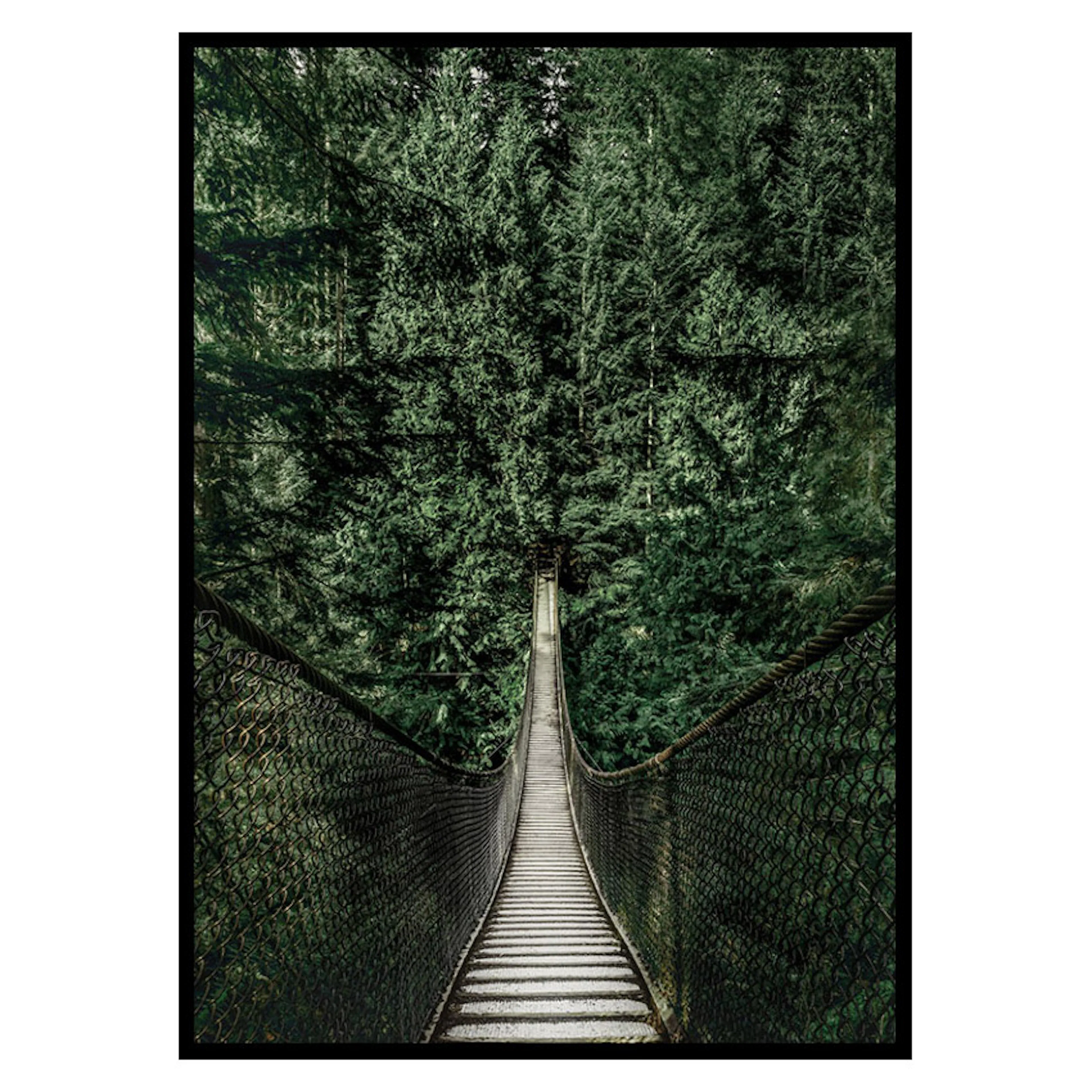 Poster Gallerix Escape Into The Forest