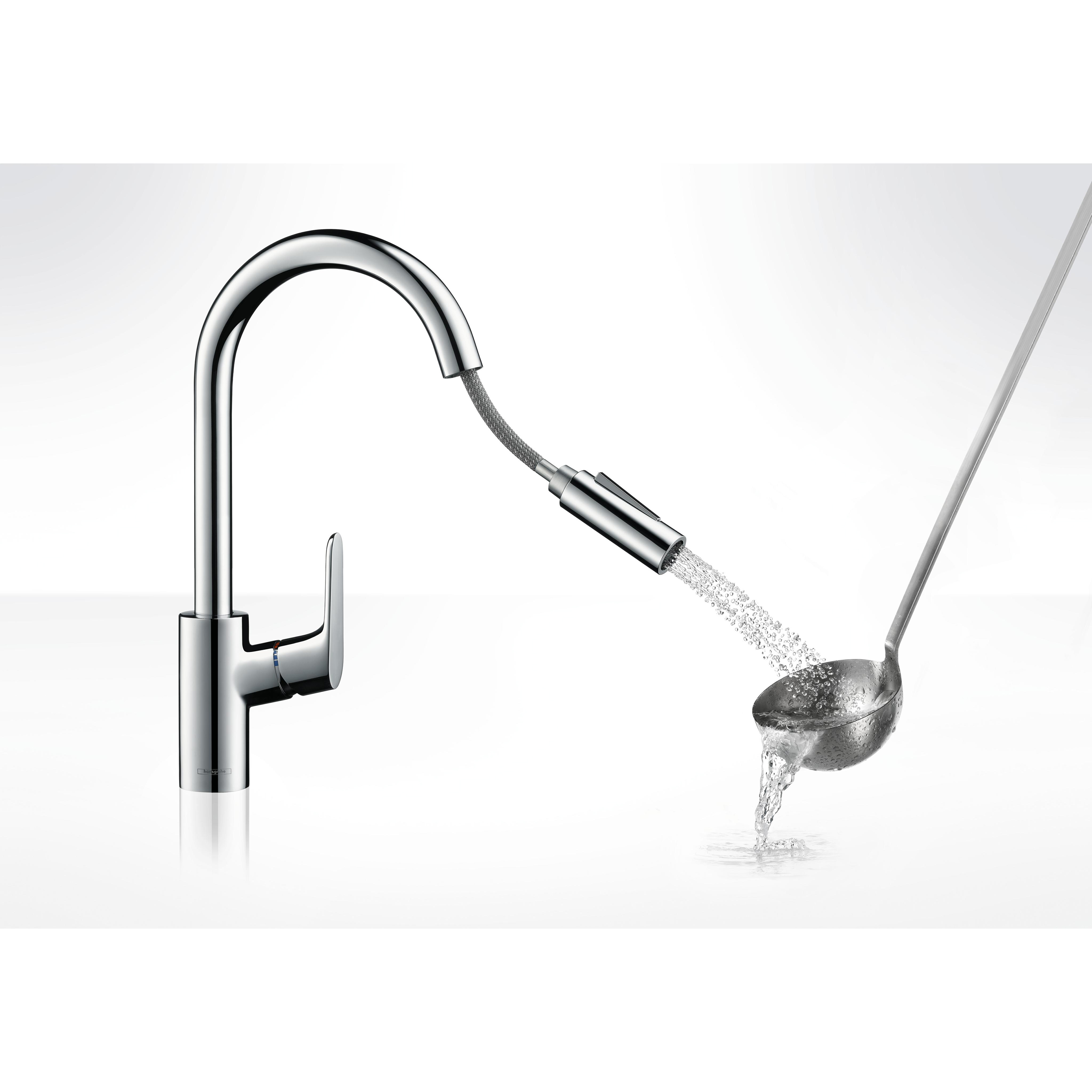 Köksblandare Hansgrohe Focus med Utdragbar Pip