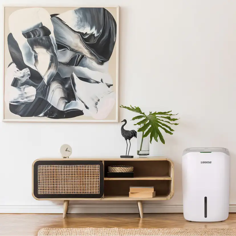 Luftavfuktare & Luftrenare eeese Carl 25L WiFi