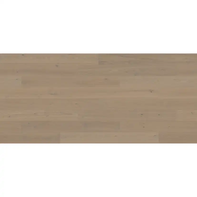 STEHAG 3.0 XXL