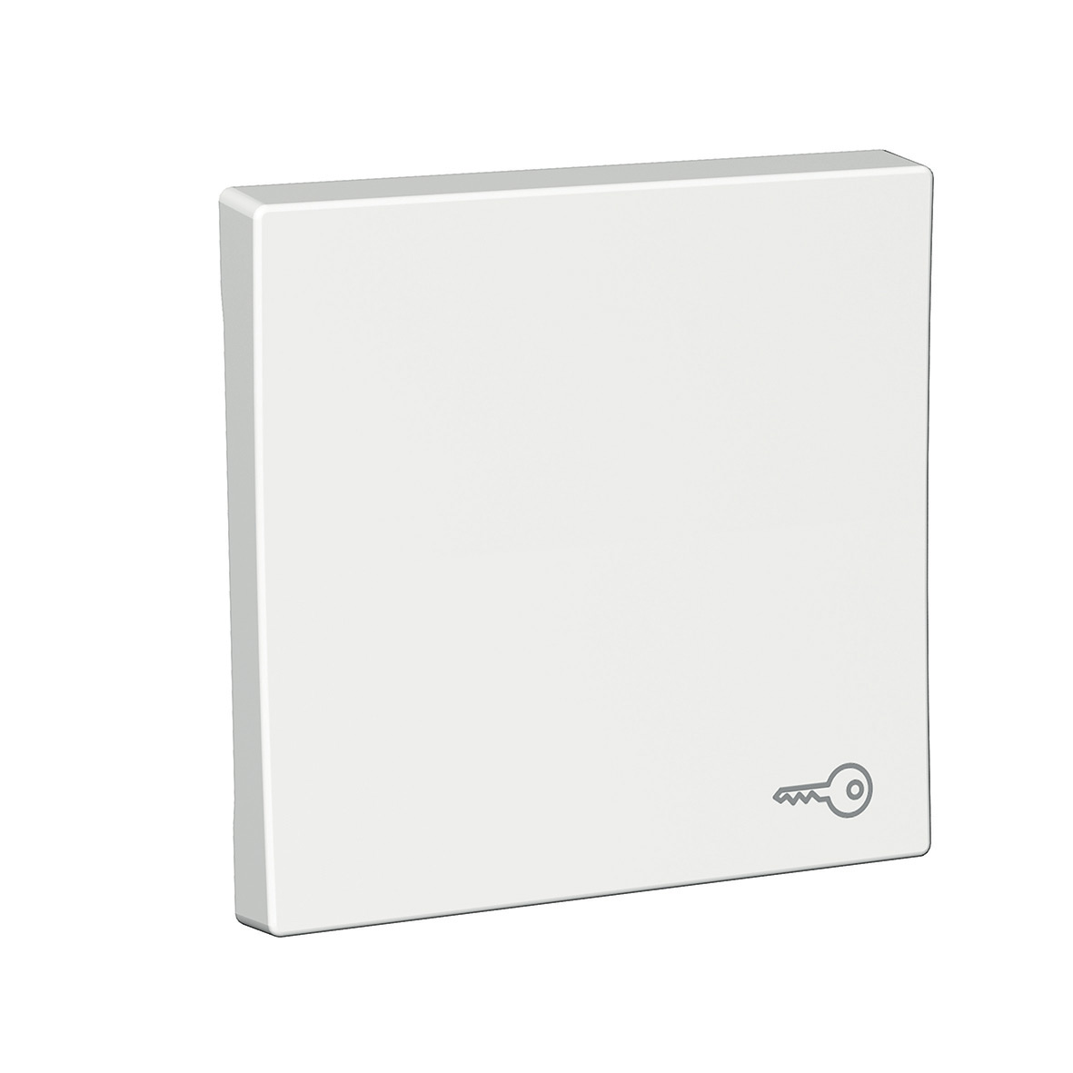 Strömbrytare Schneider Electric Exxact Nyckelsymbol