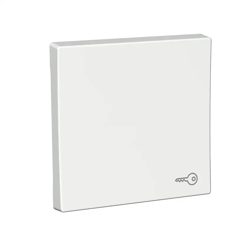 Strömbrytare Schneider Electric Exxact Nyckelsymbol