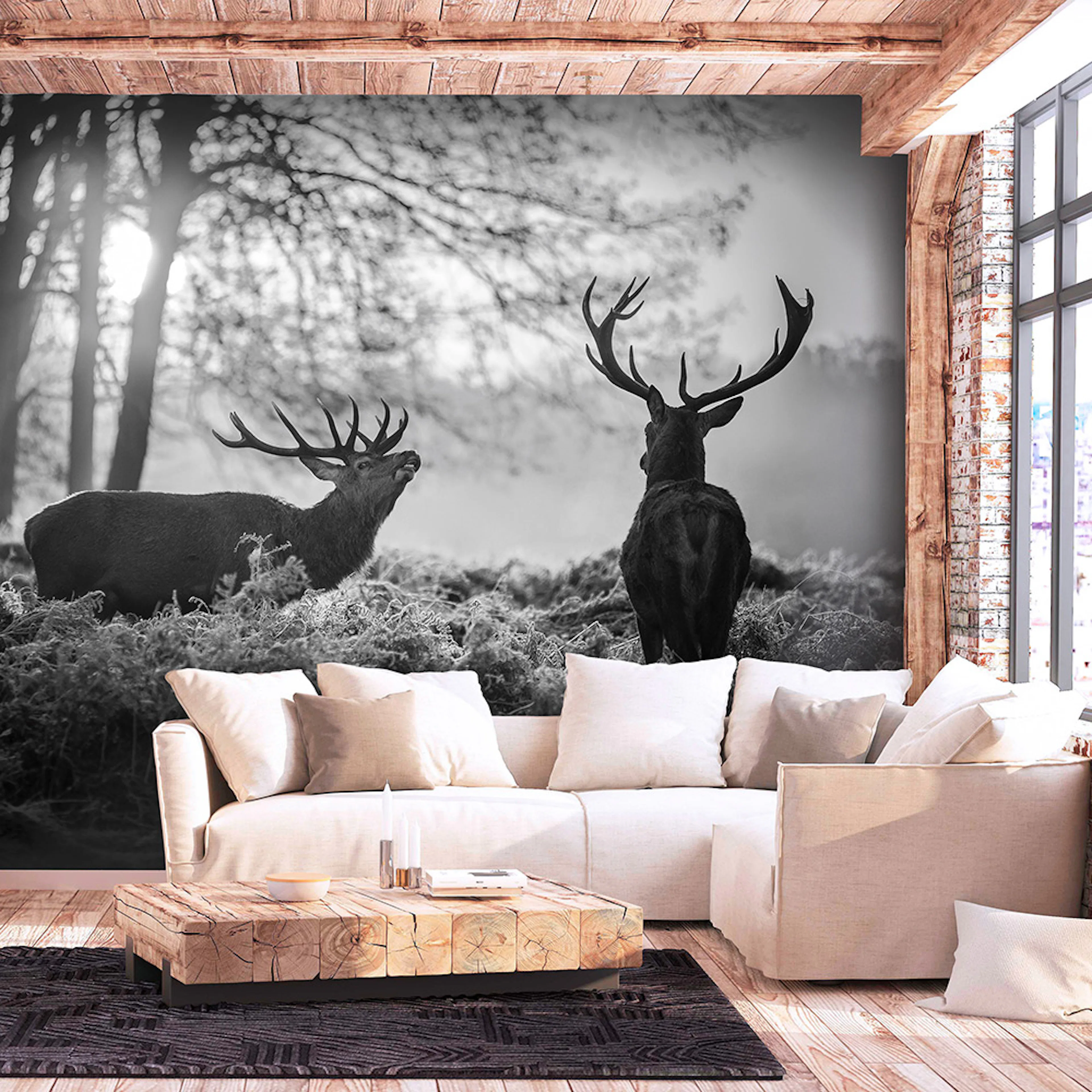 Fototapet Arkiio Deers in the Morning