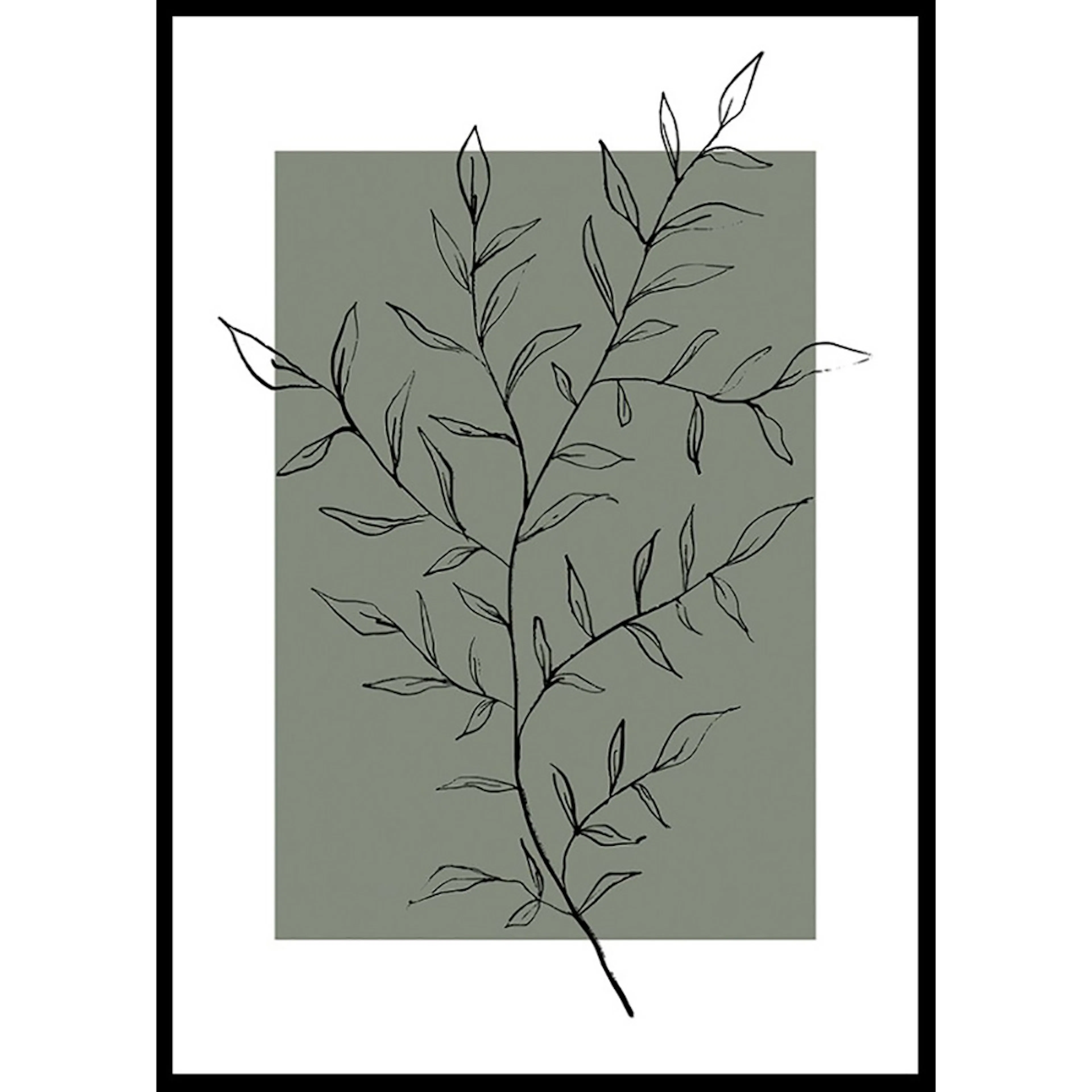 Poster Gallerix Botanical Sketch No2
