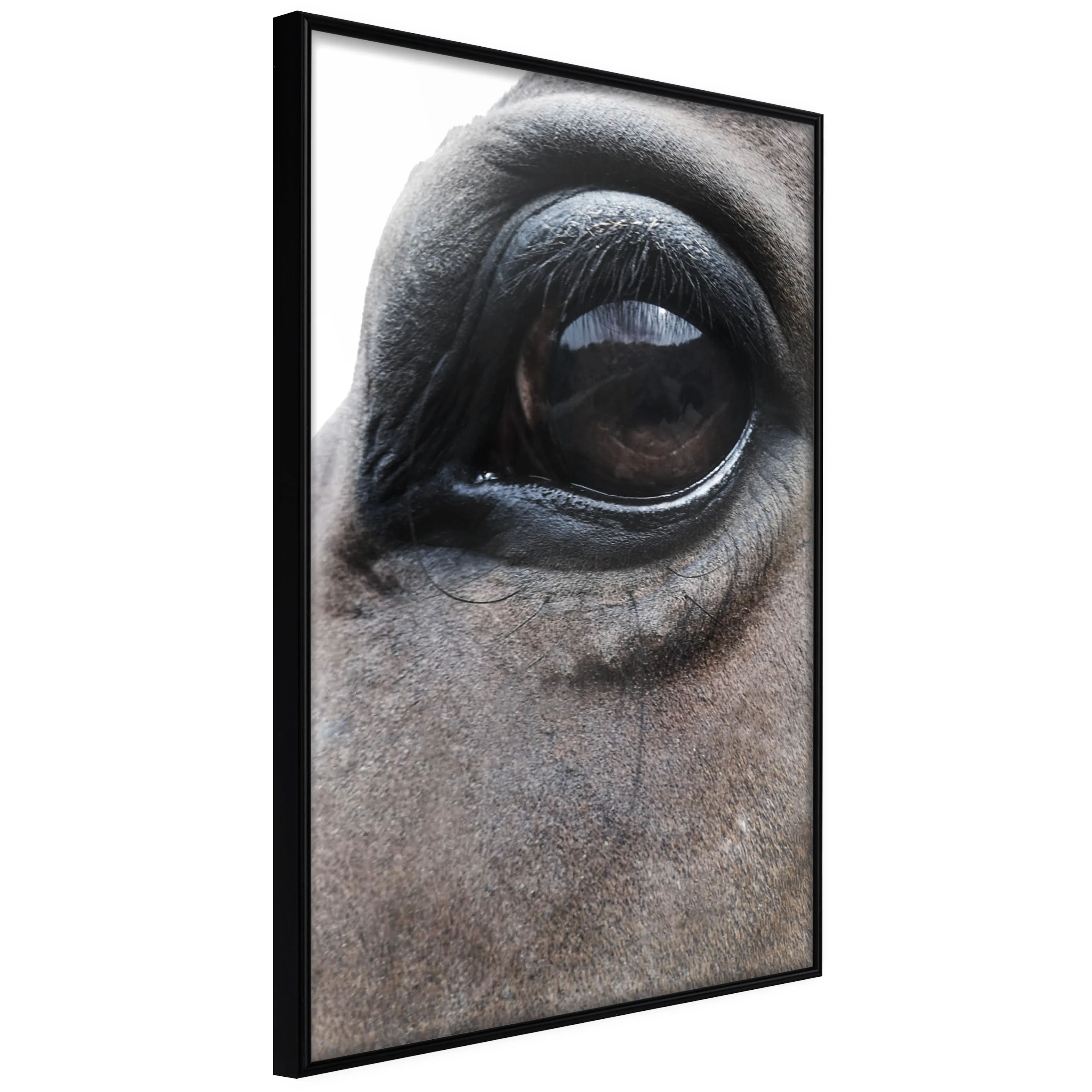 Affisch - Honest Eyes [Poster] 40x60 Svart ram, 40x60 cm