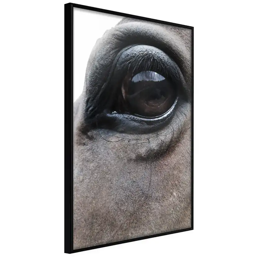 Poster Artgeist Affisch Honest Eyes