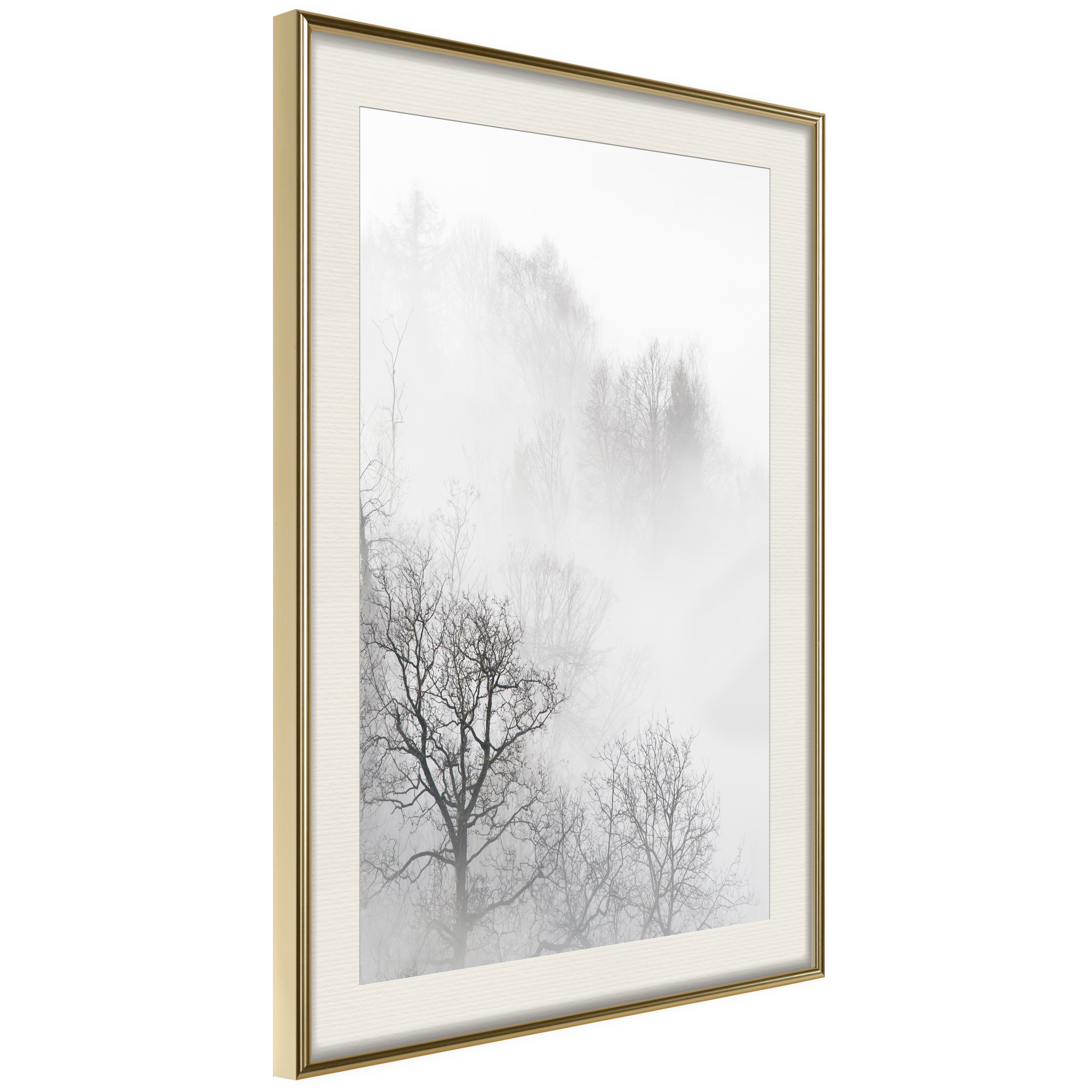 Affisch - Trees In The Fog [Poster] 40x60 Guld ram med passepartout, 40x60 cm