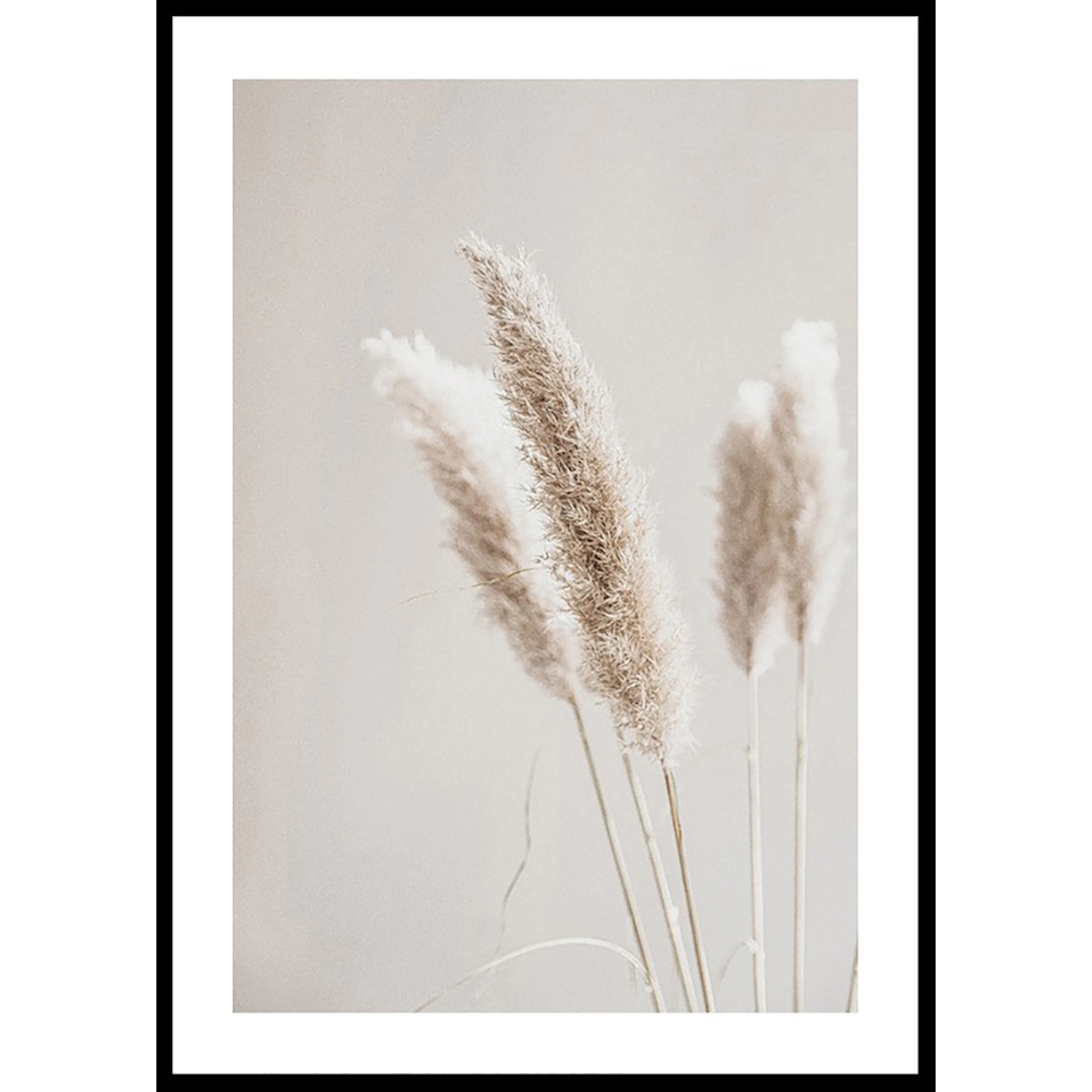 Poster Gallerix Boho Dried In Nature No6