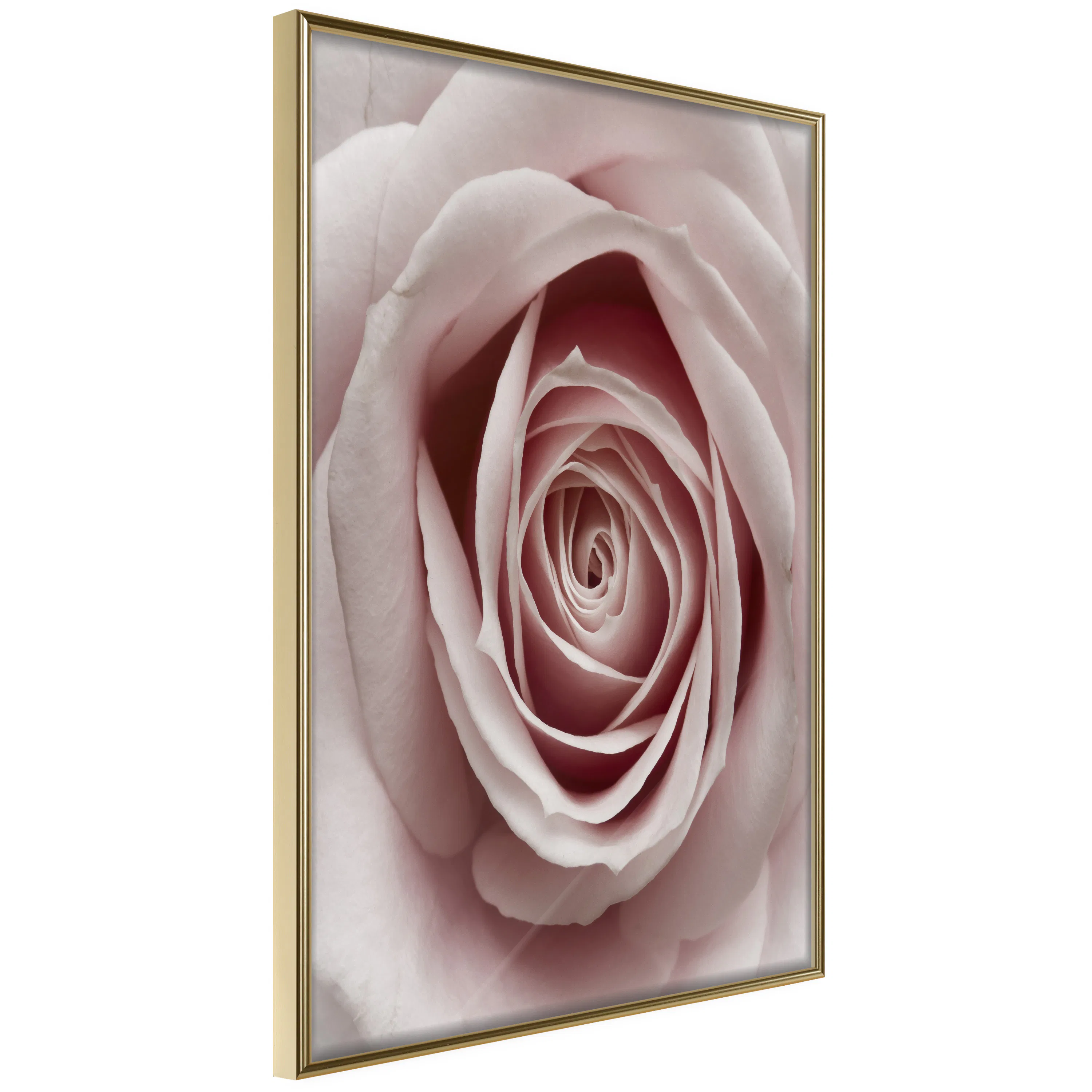 Poster Artgeist Affisch Pastel Rose